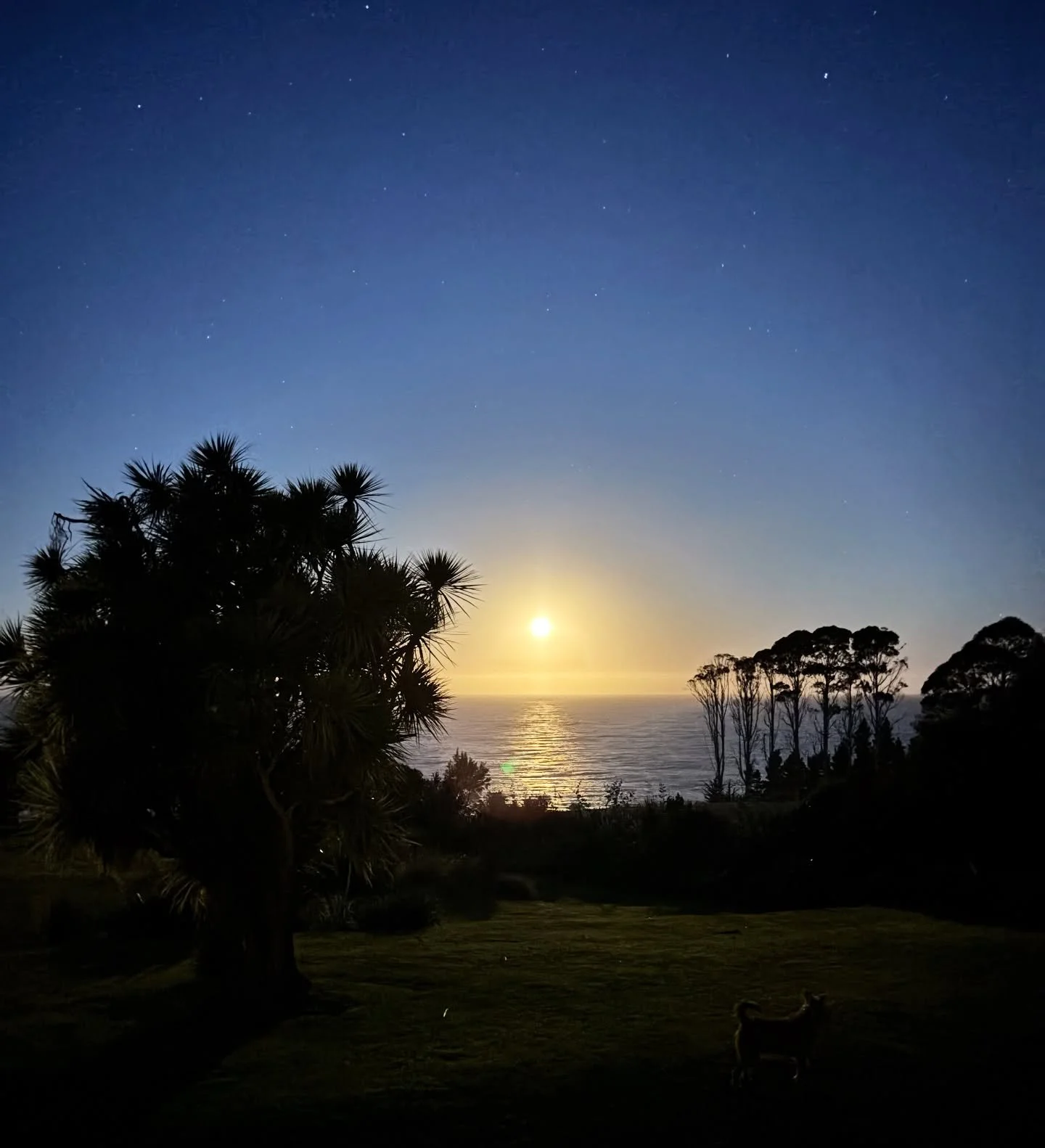 Blood Moon rising over the ocean - it&rsquo;s been one of 2 eclipses this month. 

Full moon over the ocean &hellip;

#darkskies
#fullmoon