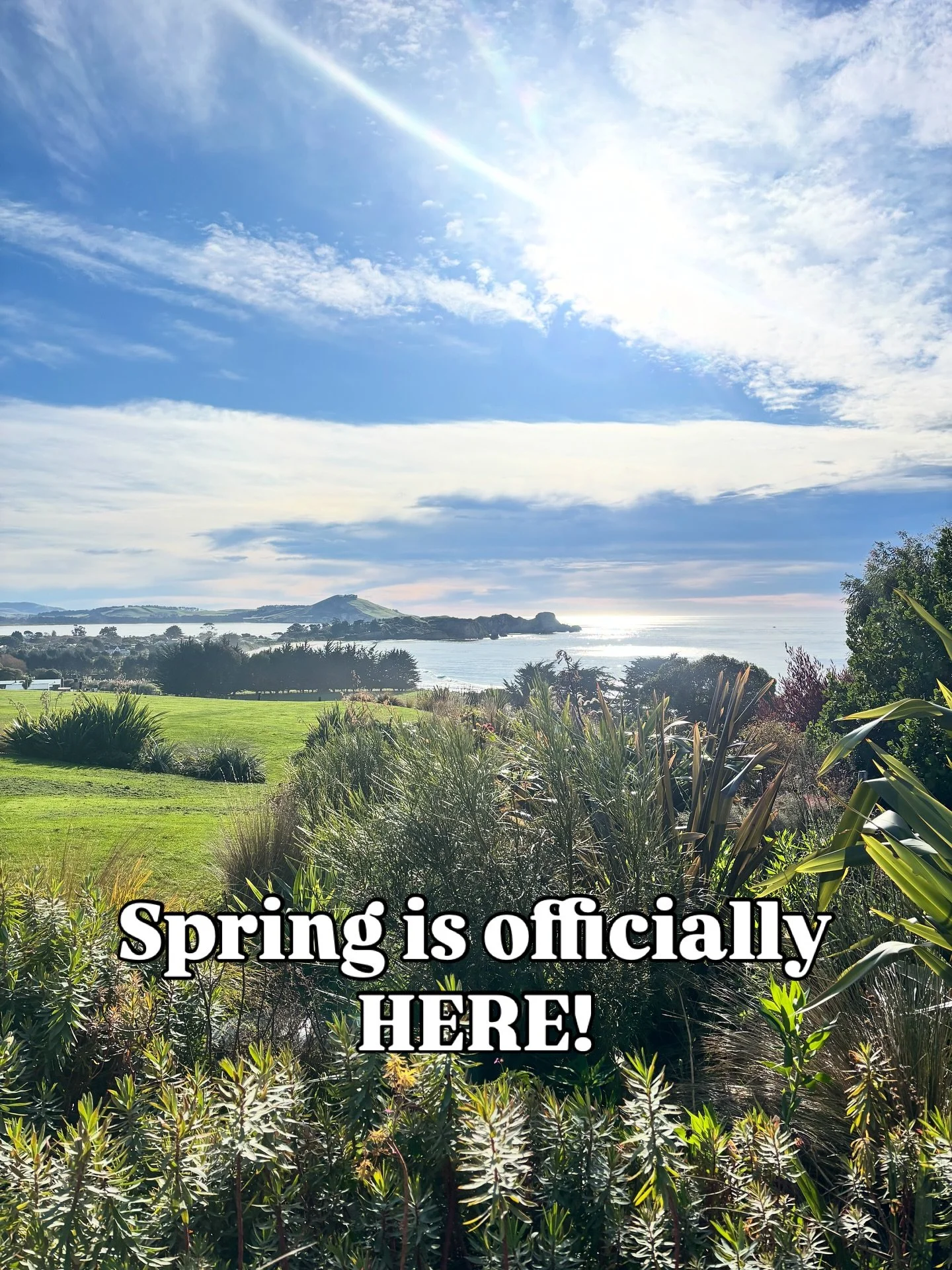 It&rsquo;s official - Spring is HERE !!!

A glorious day here in Karitane&rsquo;s and it&rsquo;s a perfect day for gardening - we are knee deep in plants and weeds and sunshine ( YASS!!!) and LOVING IT - getting Tirimoana ready for our summer visitor