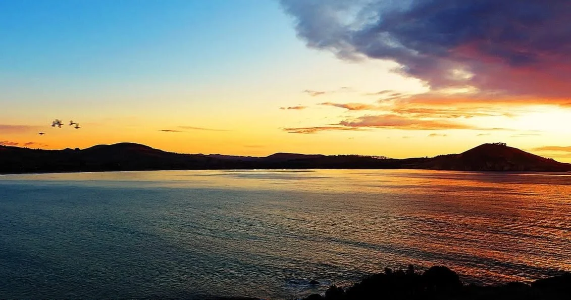 Photo of Beautiful Waikouaiti Bay from talented community member - John Scott. 

Too Beautiful&hellip;.

#coastalotago 
#coastalescape
#otagocoastnz🇳🇿