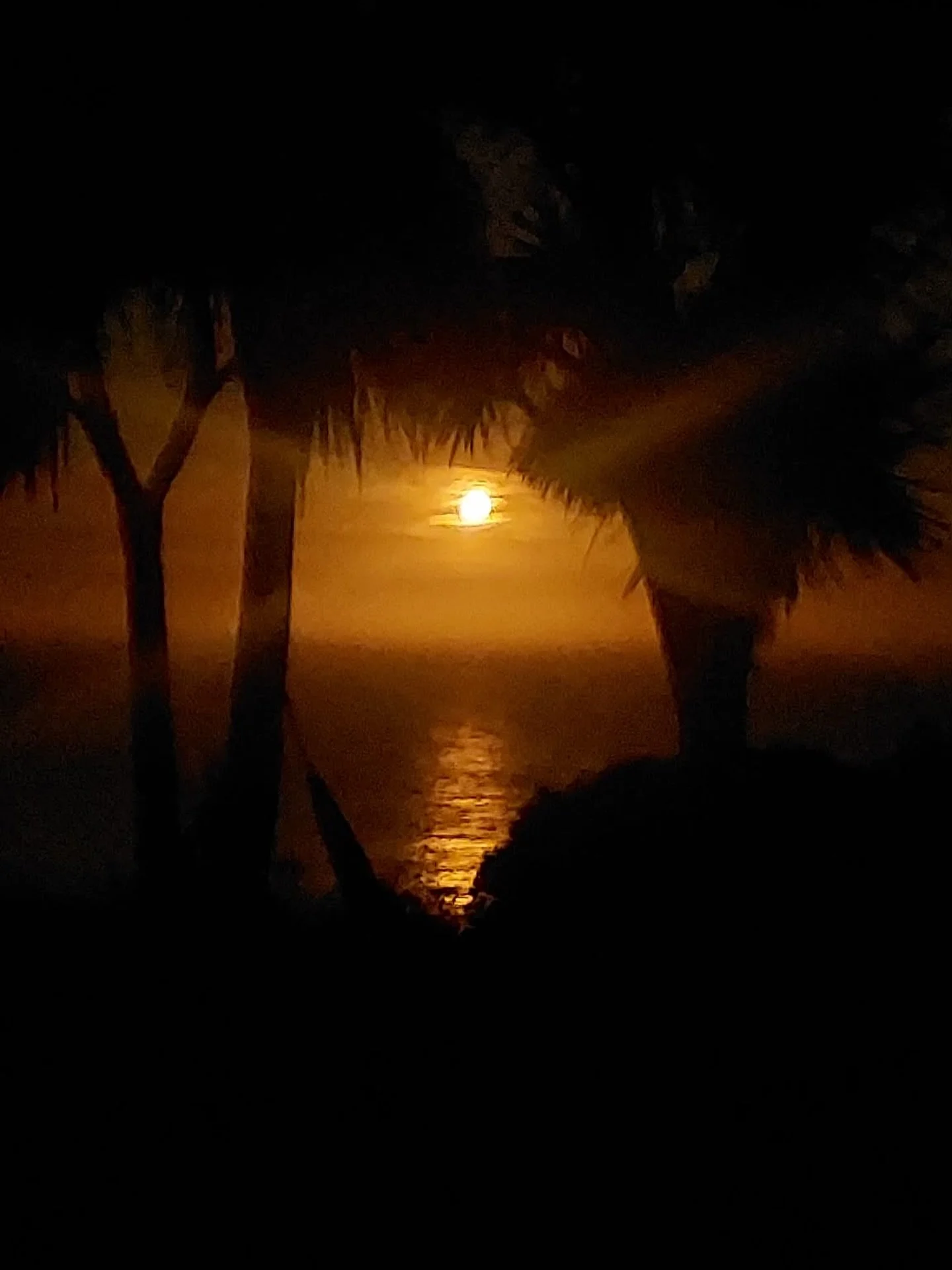 Sharing a pic from our recent guests staying to celebrate their first anniversary at The Longhouse with friends after getting married here last year. 

Moon rise over the ocean - it&rsquo;s no wonder Tirimoana - this place - draws us back again and a