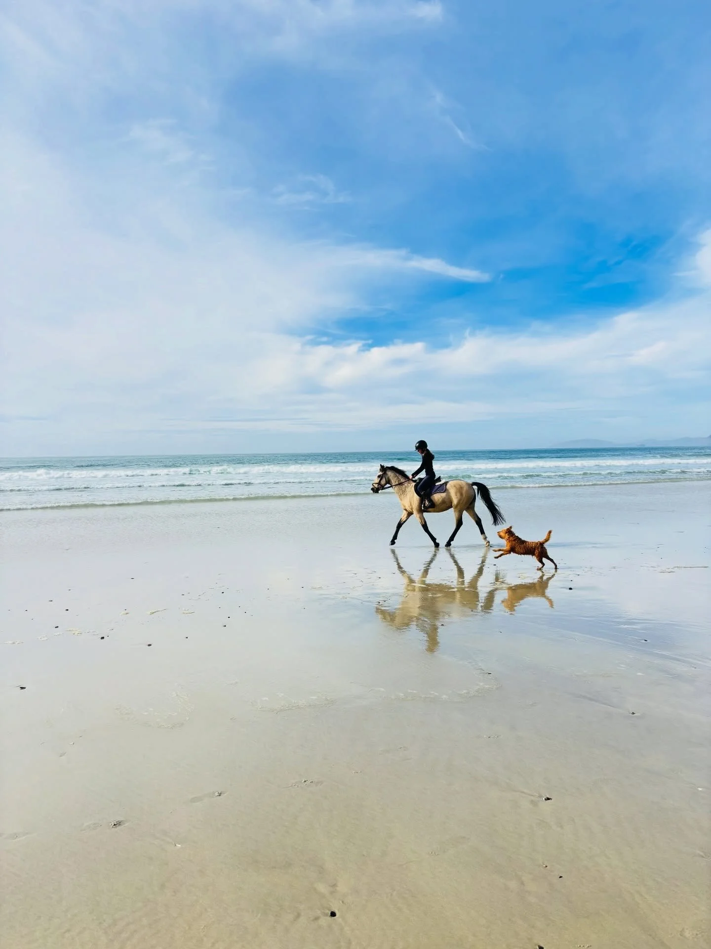 Easter on the Beach ! 
Get your weekend getaway booked to the Otago coast and immerse yourself in nature ! 

#weekendgetawaysnz
#coastalotagonz
#southernwaynz 
#karitaneaccommodation
#slowstaysnz