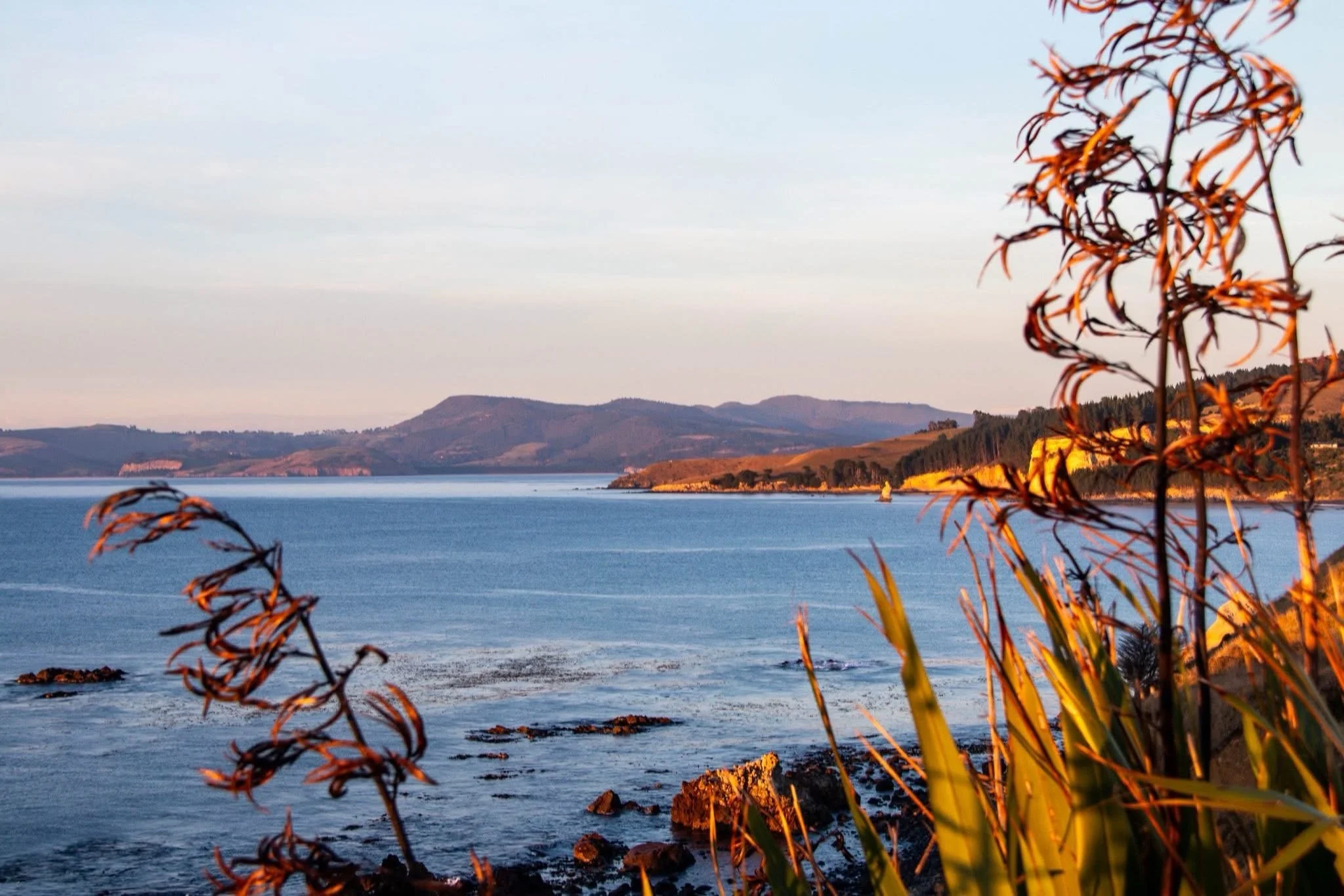 A moody ocean in late afternoon light - beautiful every day. 
#slowstaysnz
#accommodationnewzealand 
#boutiquestaysnz 
#luxurystaysnz
