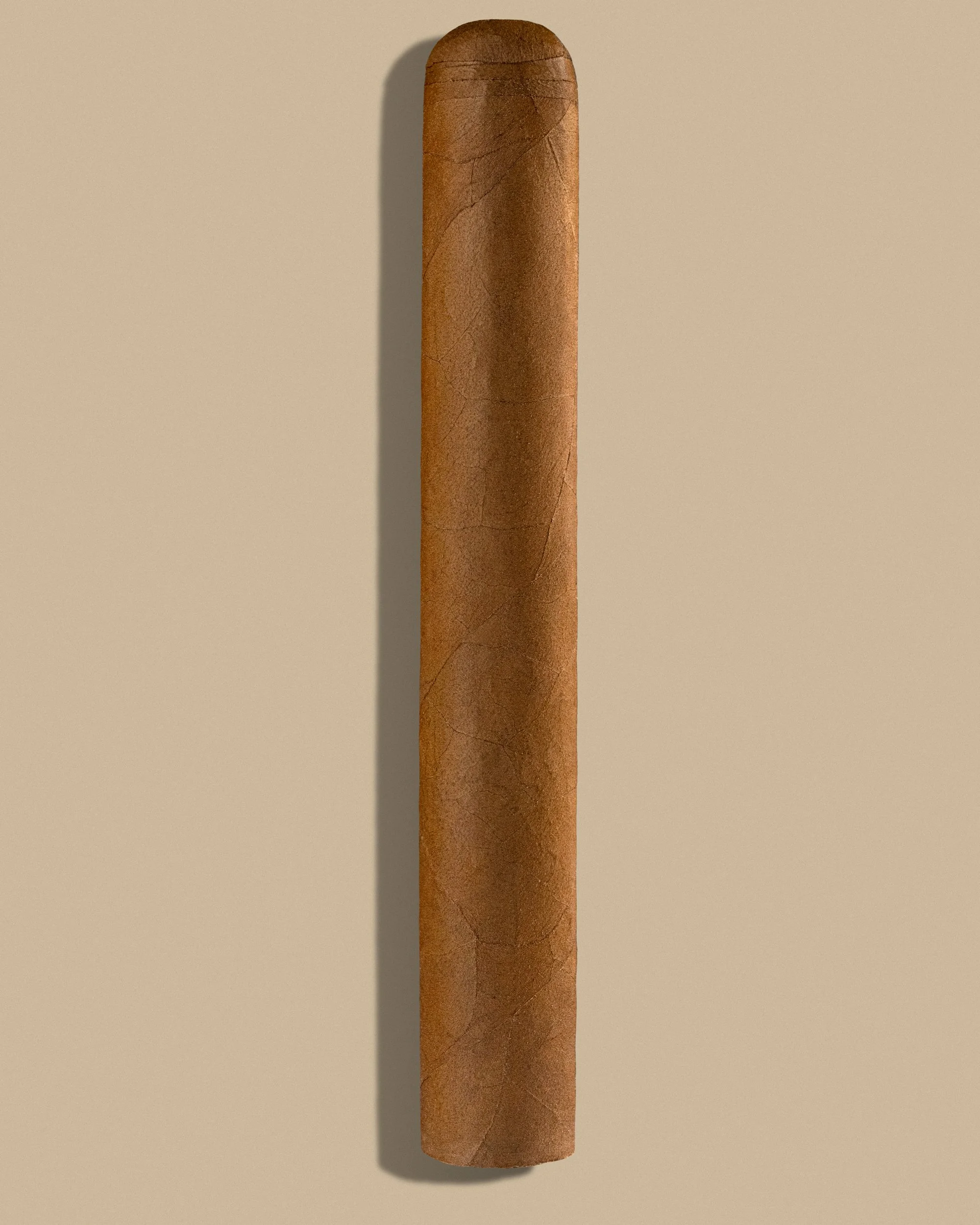 Brown cigar on beige background