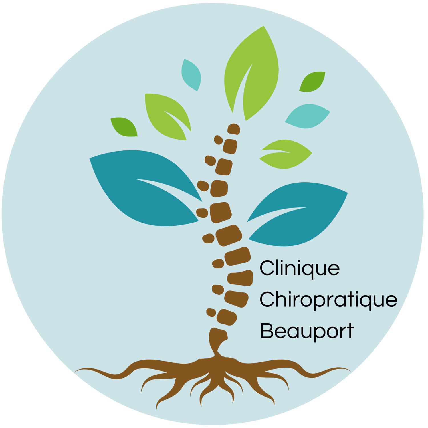 Clinique Chiropratique Beauport