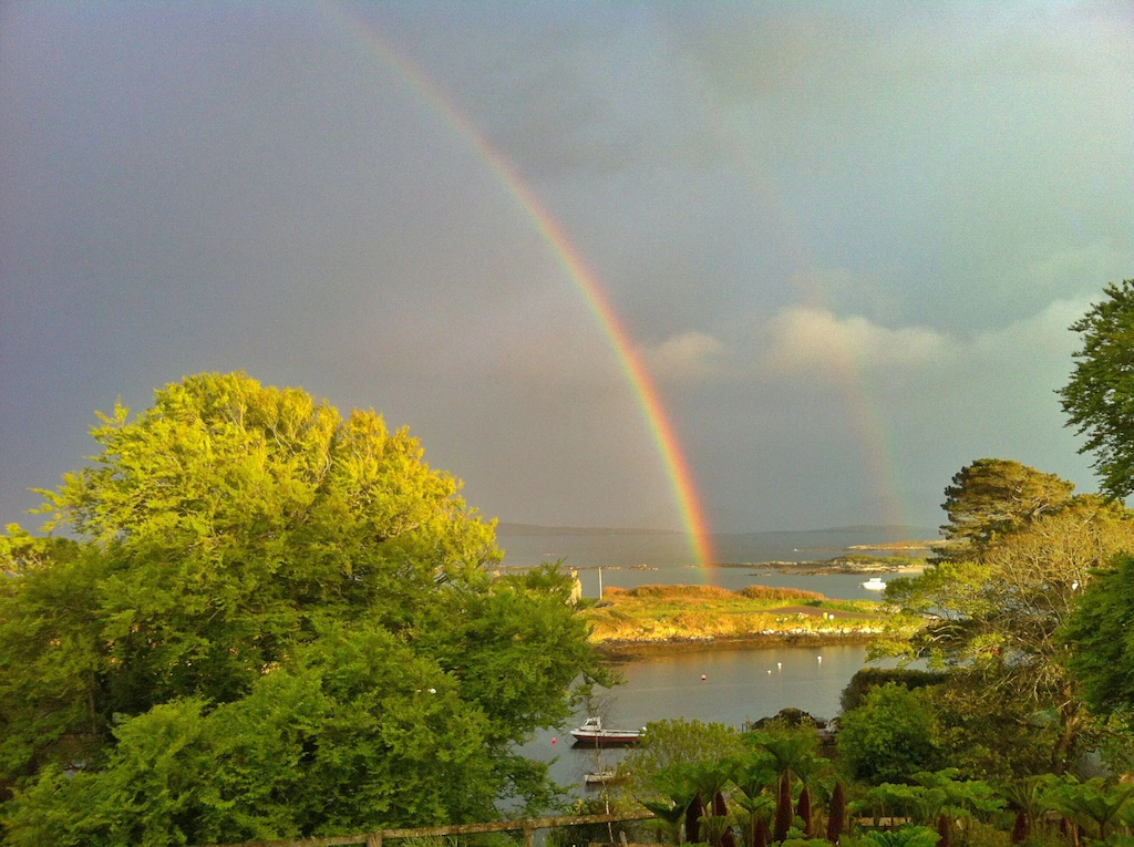 A scenic view of a large green tree, a calm body of water with boats, and a rainbow in a cloudy sky.
