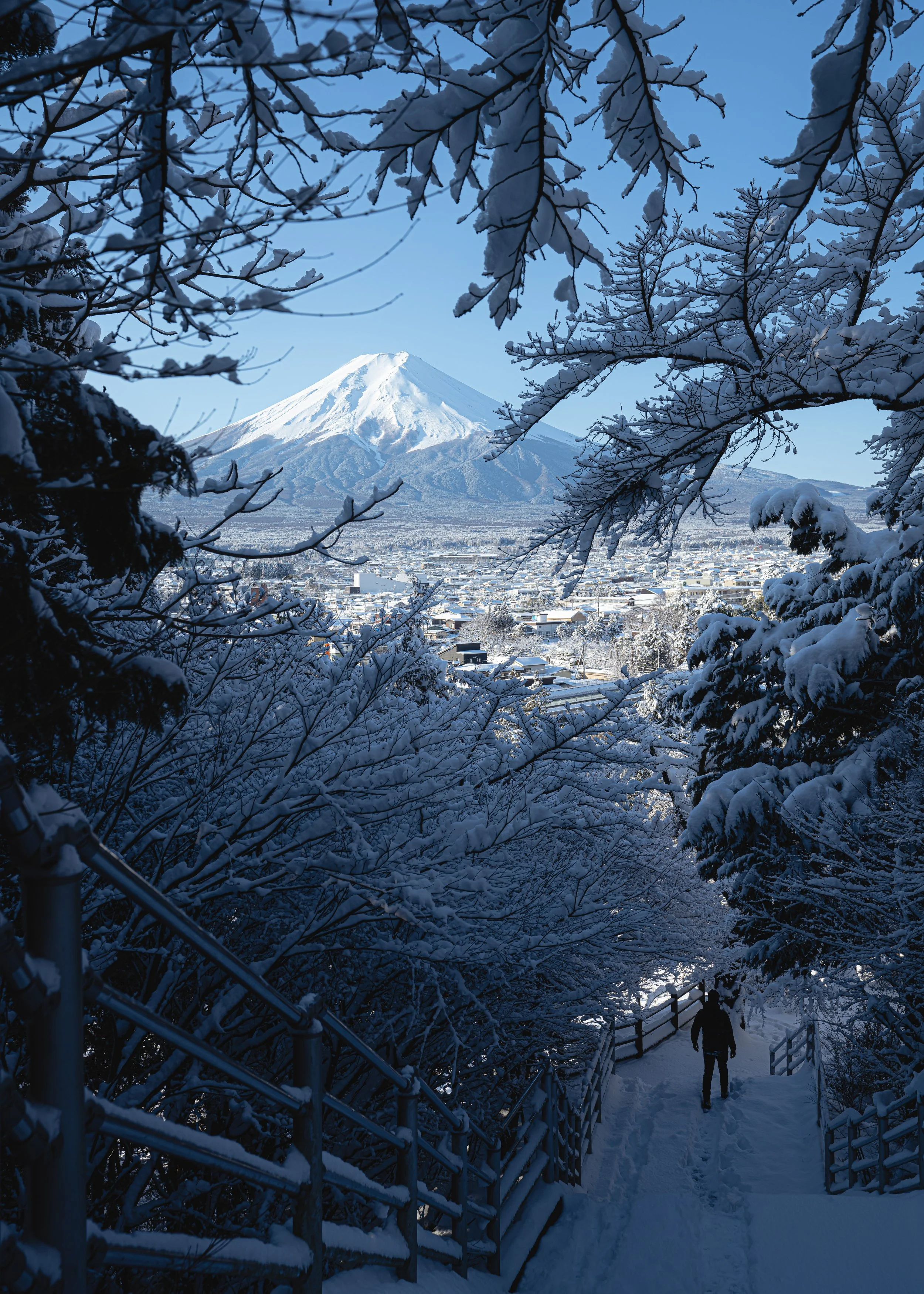 Iconic Japan #32 %22Snowy World%22.JPG