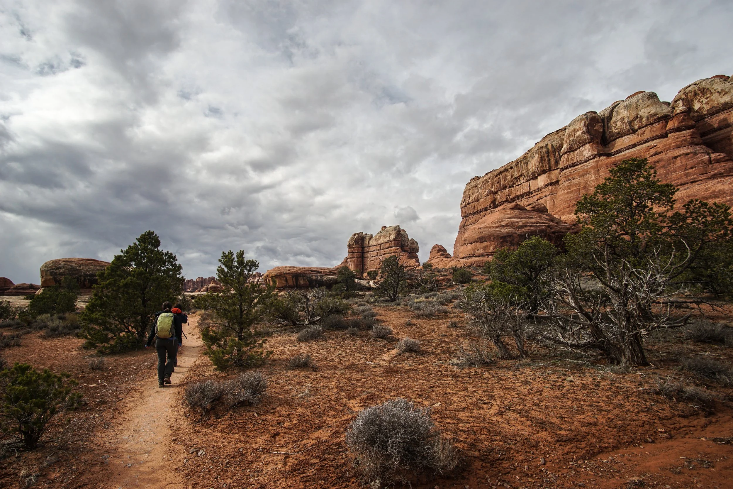 Utah 2019 across the terrain Rumaan.jpeg