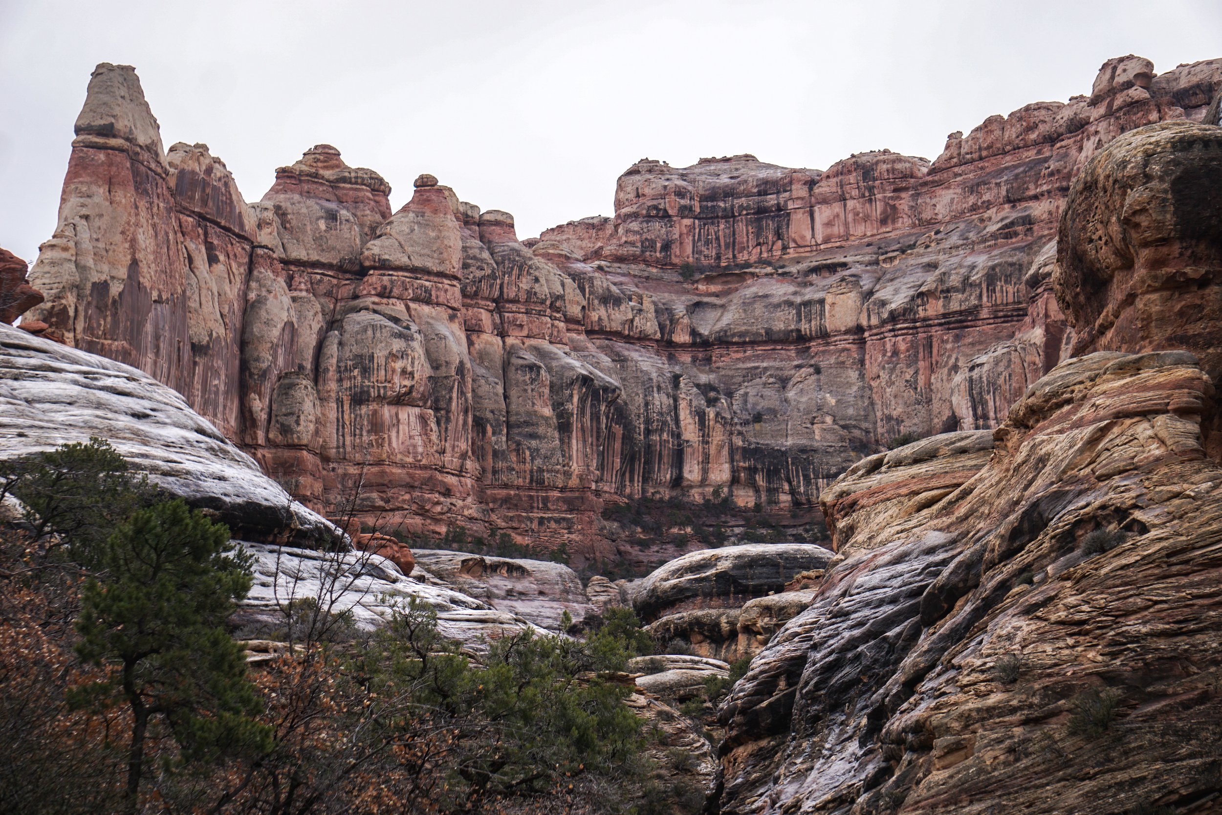 Utah 2019 grand display rumaan.jpeg