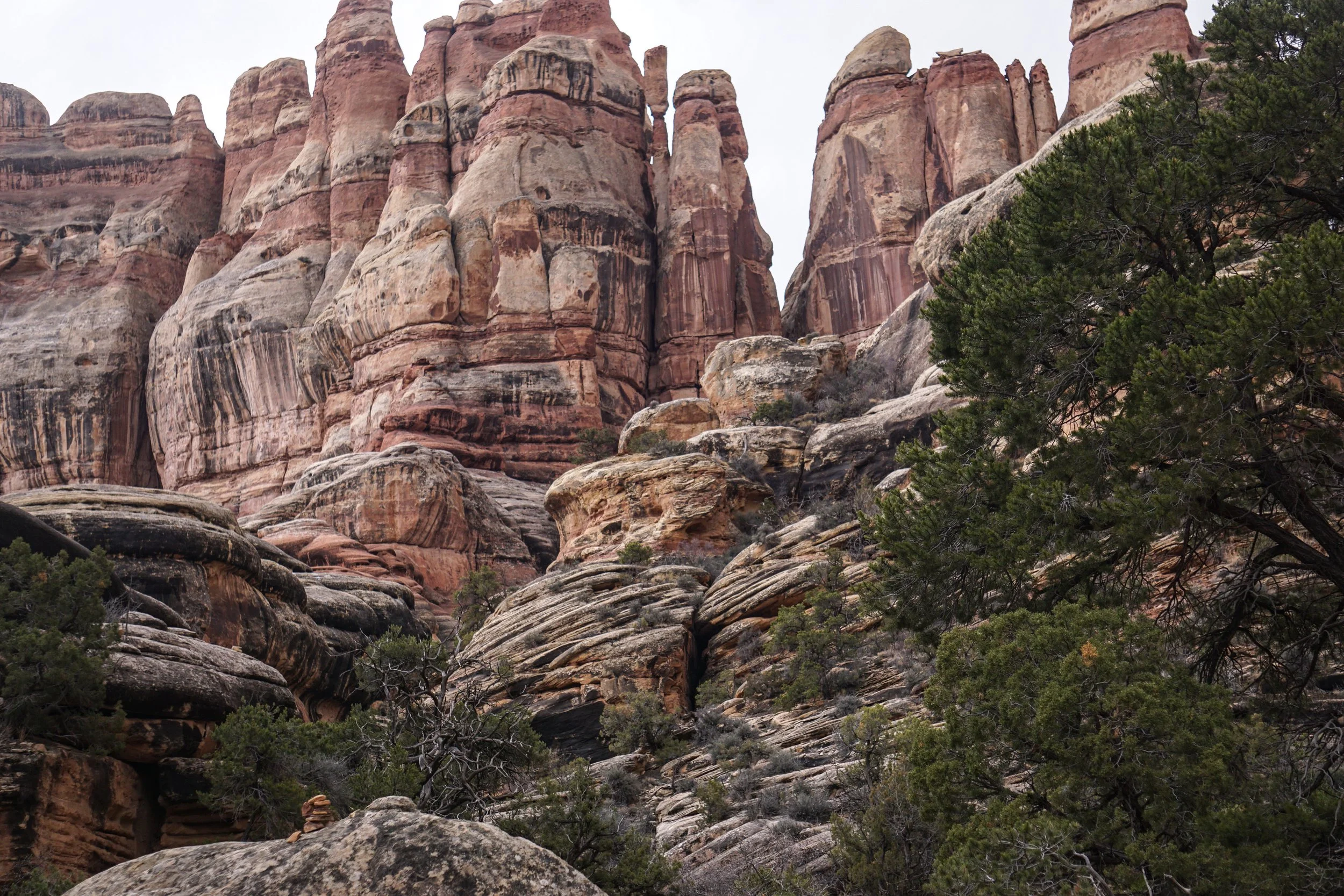 Utah 2019 bumpy rumaan.jpeg