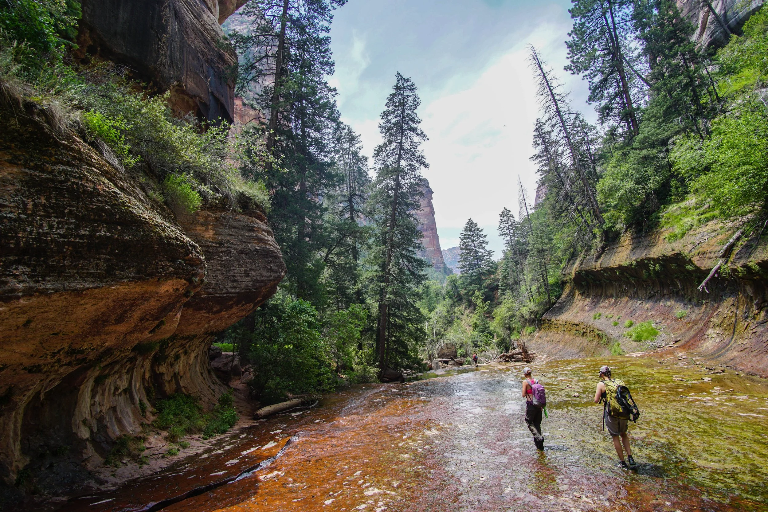 zion 2017 waterway rumaan print.jpeg