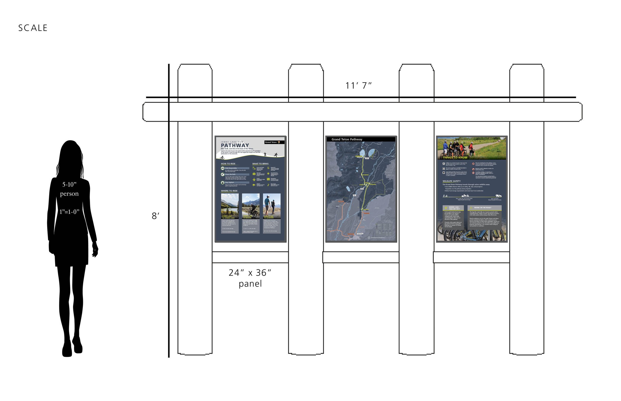 Pathway spread C5.jpg
