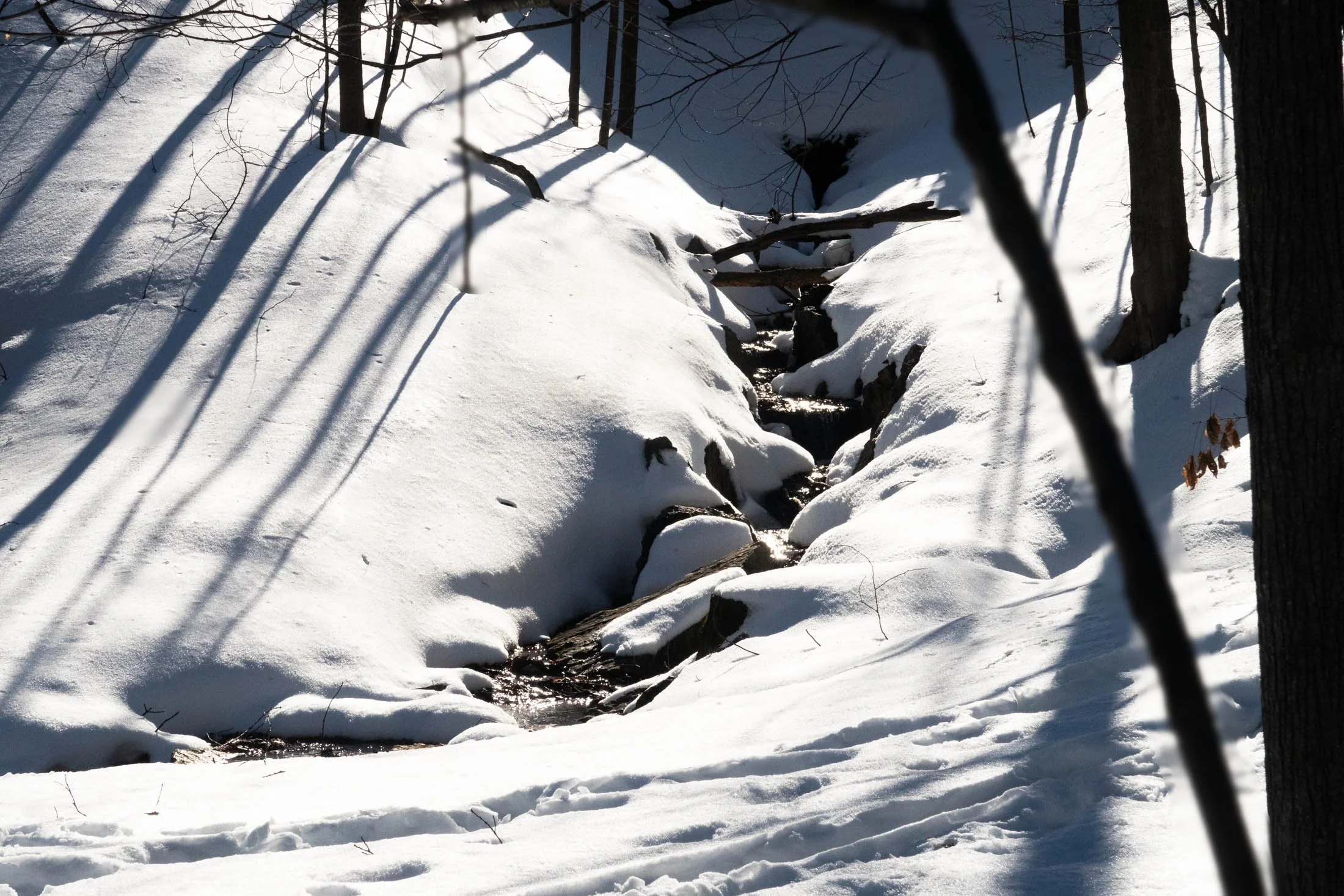 See-6.jpg