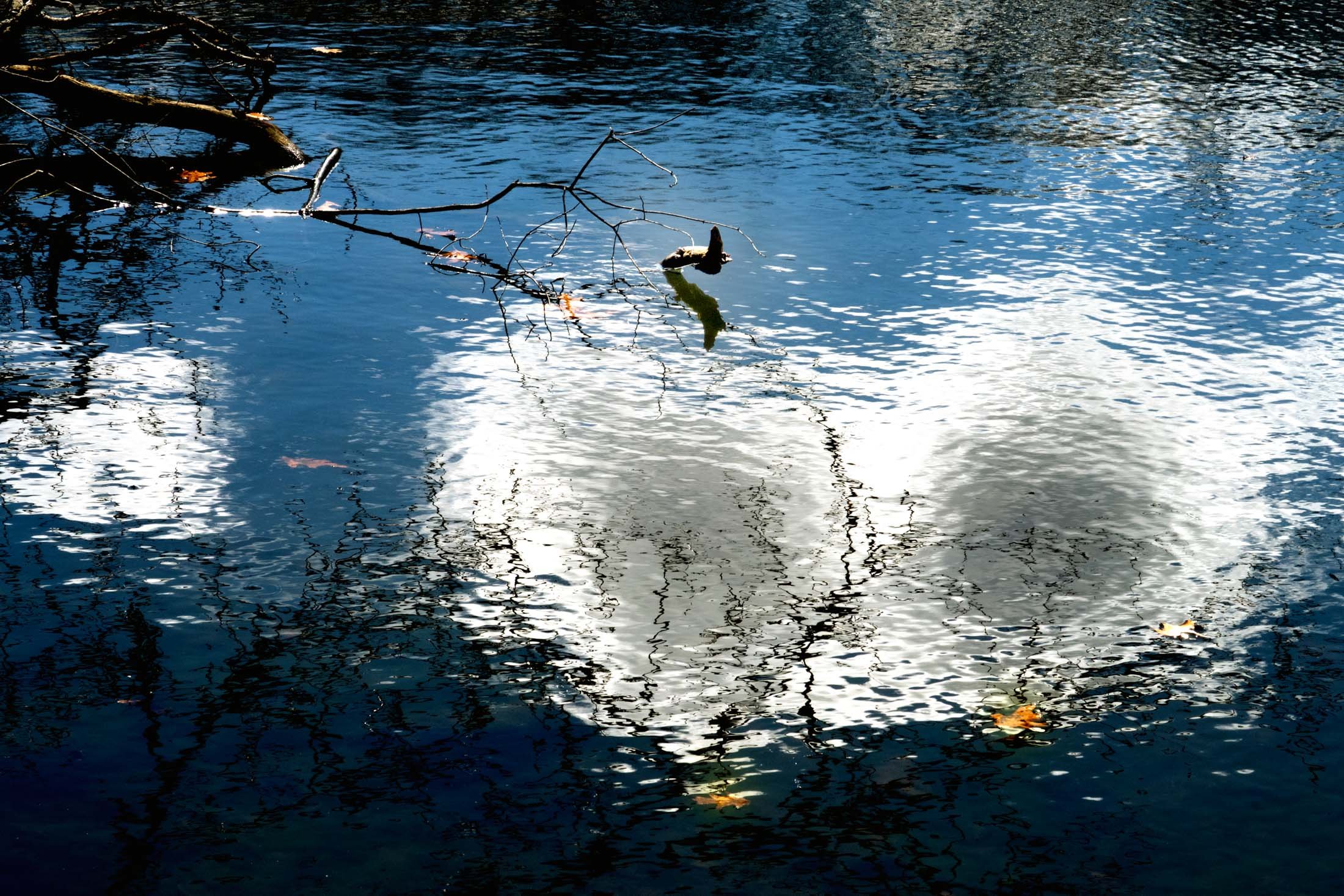 See-12.jpg