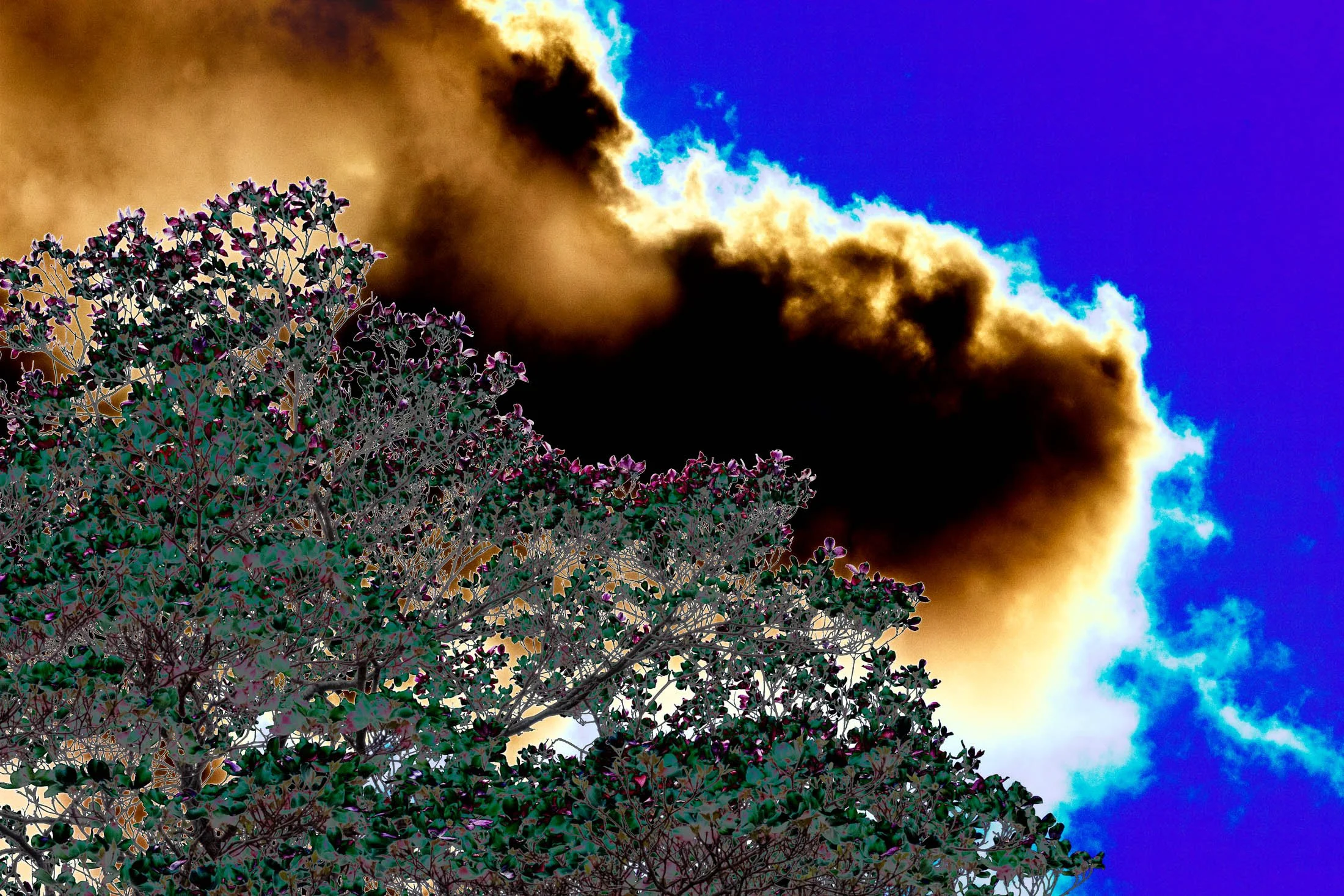 color 6105-1.jpg