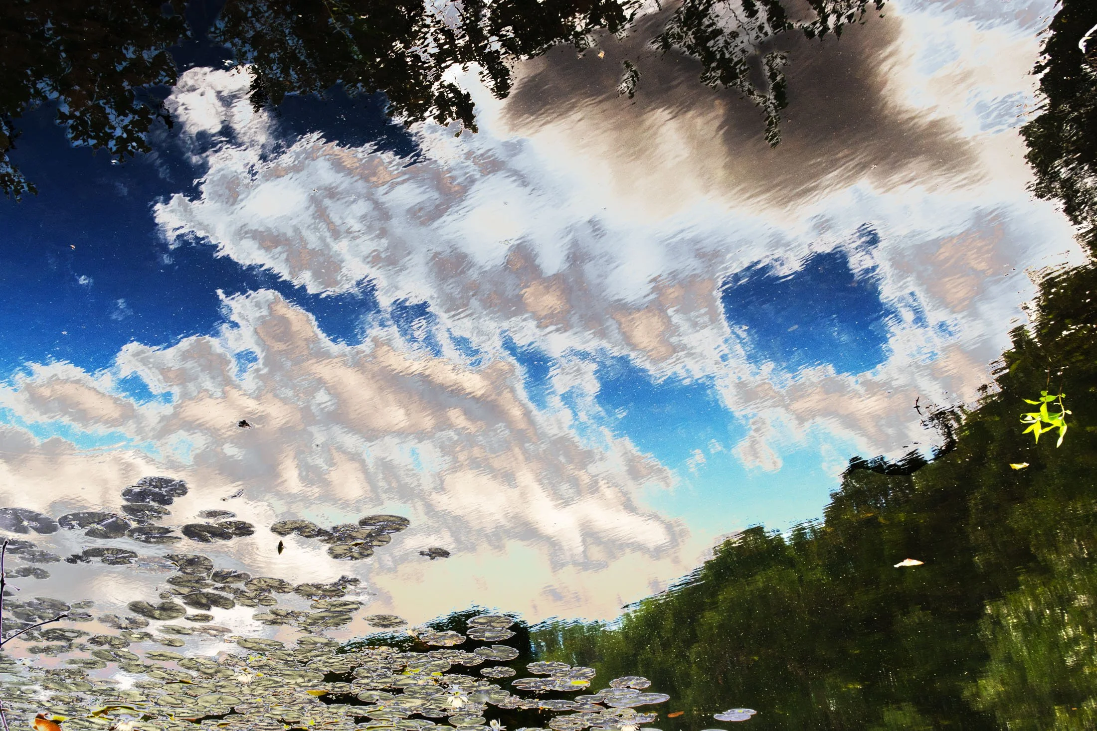 color 1052-1.jpg