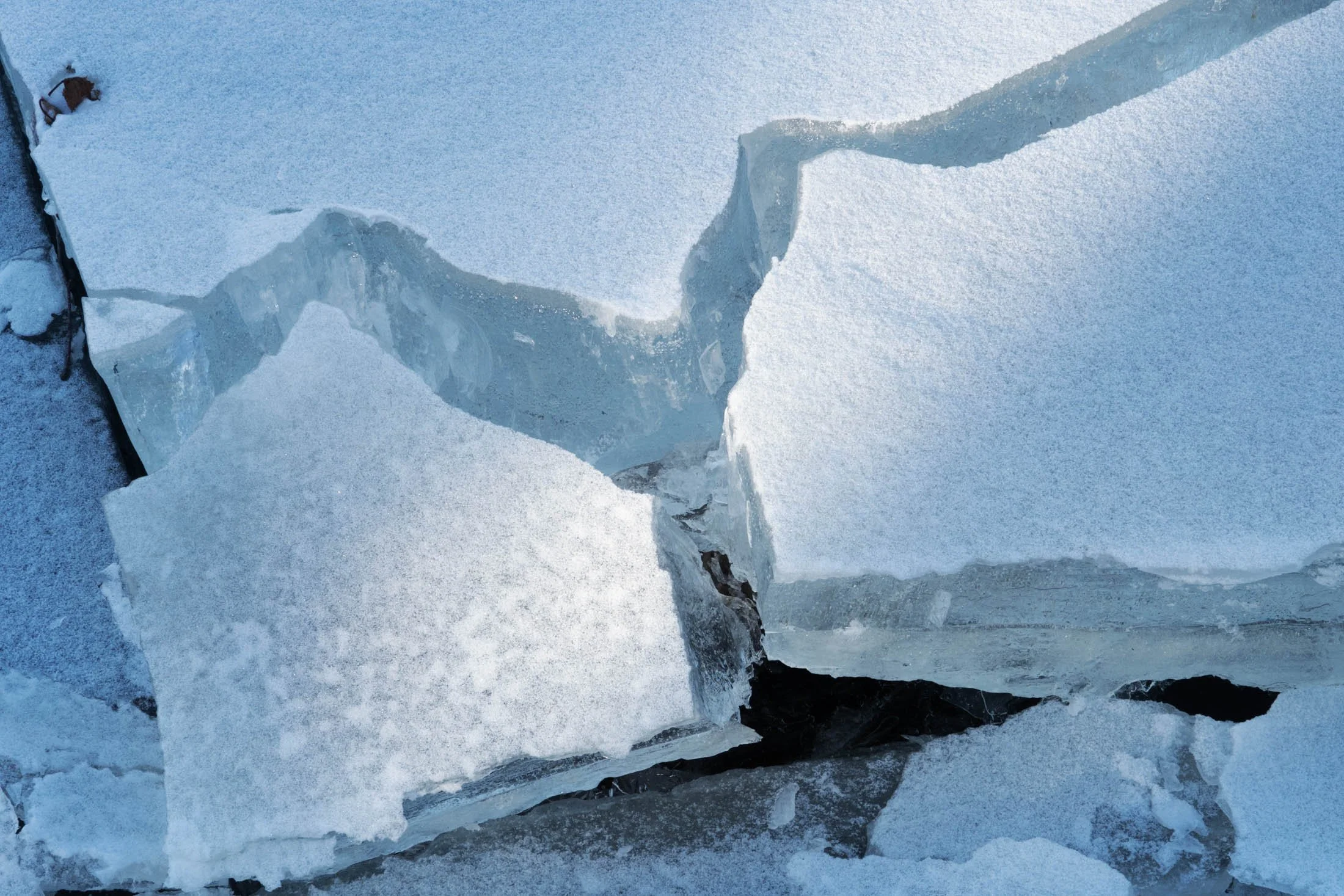 See-14.jpg