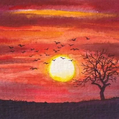 sunset glow.jpg