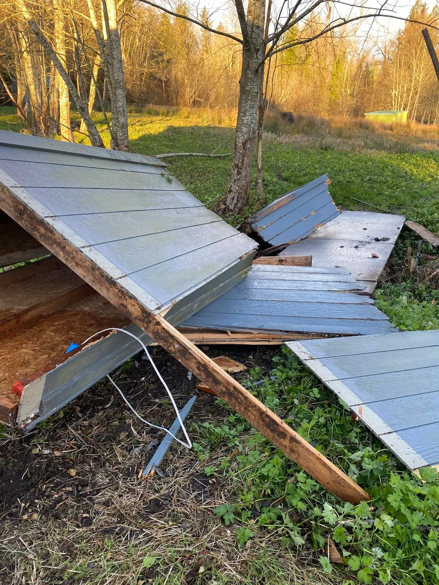 Hello everyone!! I hope you all are safe from the bomb cyclone we had here in the PNW 💙🌀💙
We are putting together a Farm Animal Sanctuary Storm loss fundraiser. 

We had a building, some buckets, a large water trough and multiple tools get destroy