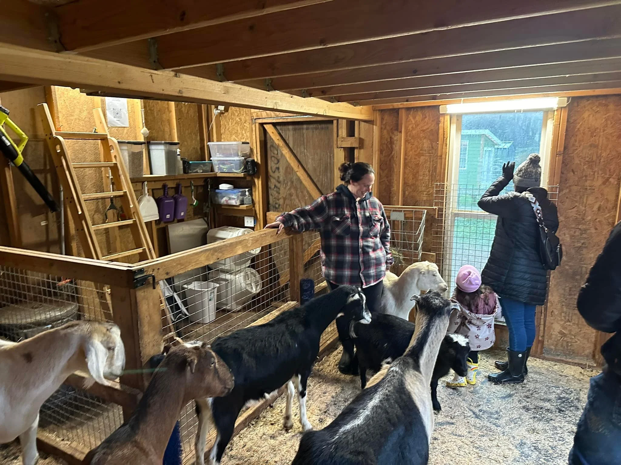 Great to have Michelle, Matt and Lila over for a farm tour today!! The goats and us already miss you💜🐐💜