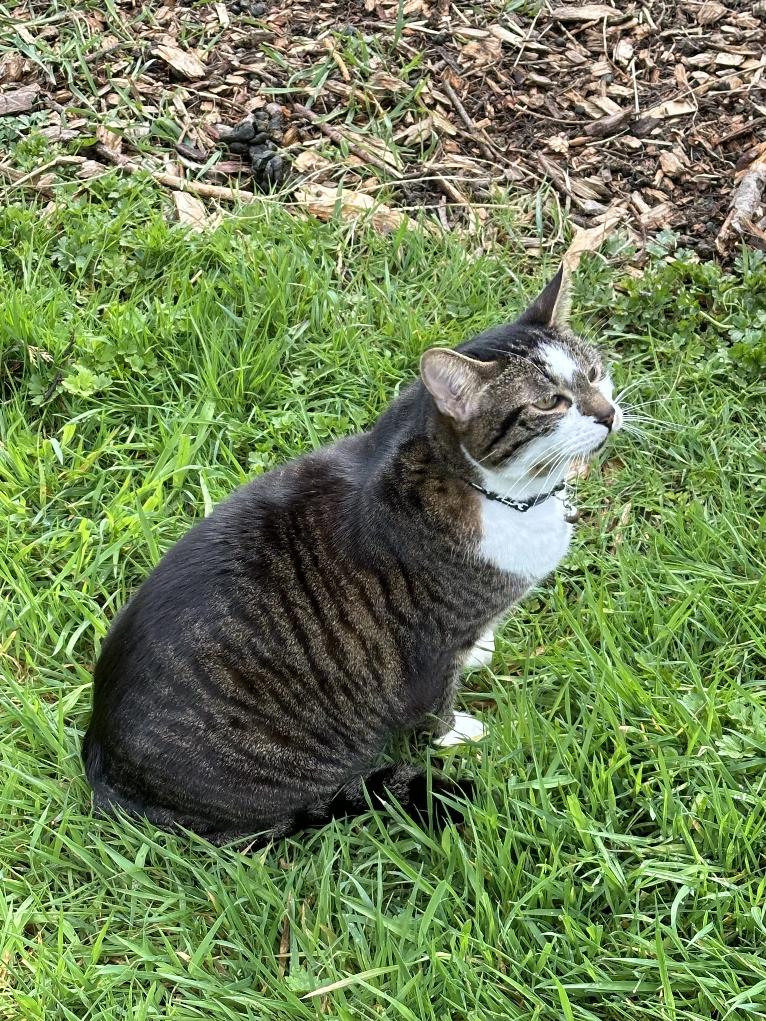 IMG_0860.jpeg