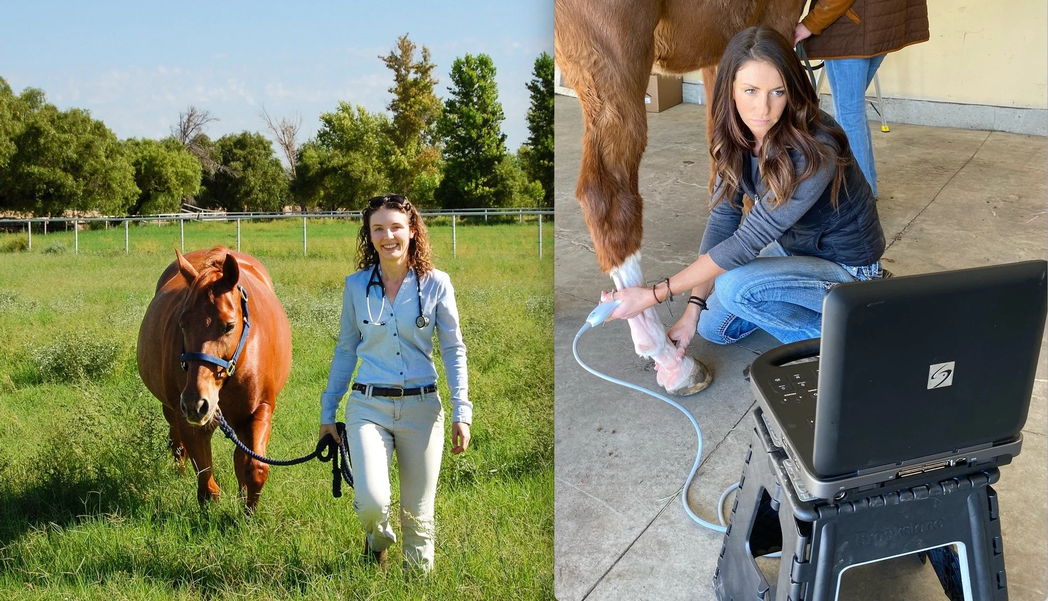 Abby:Morgan website pic.jpg