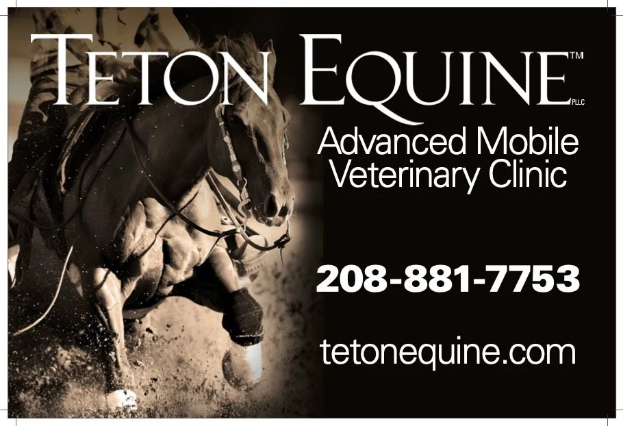 Teton Equine Banner.jpg
