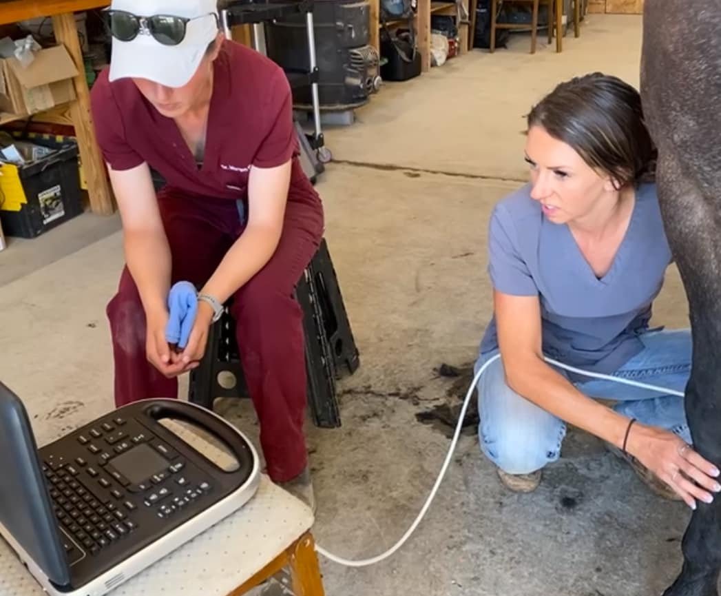 working together morgan and abby.jpg