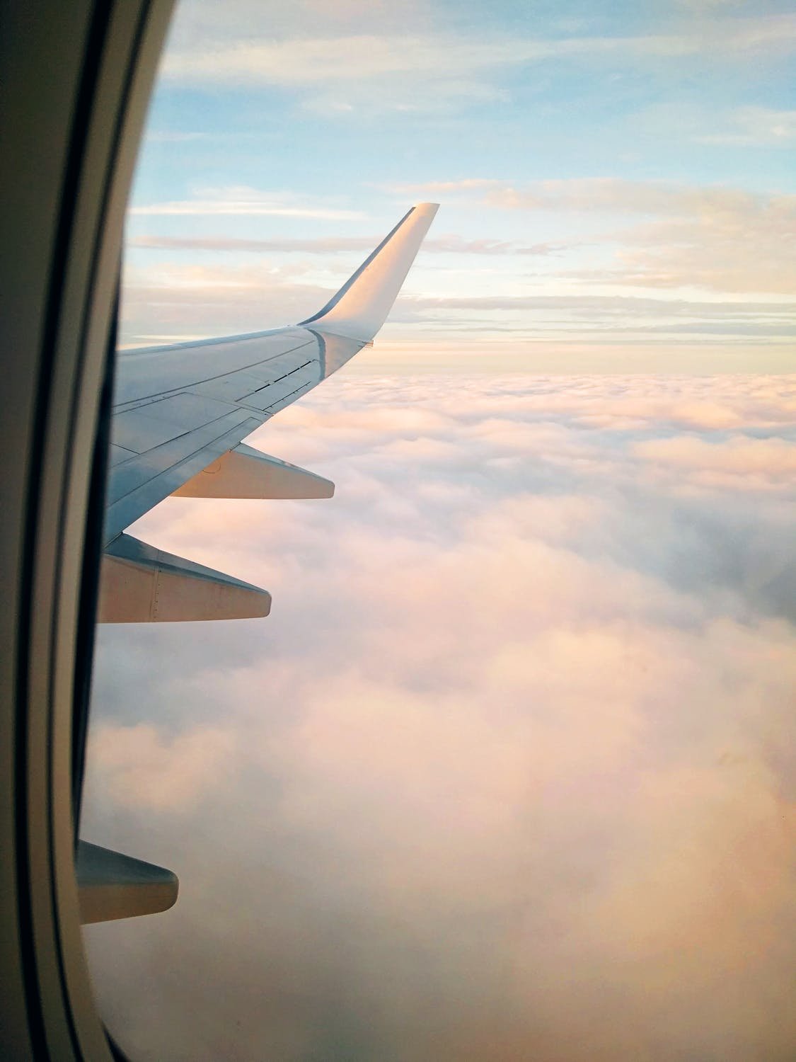 pexels-photo-6791741.jpeg