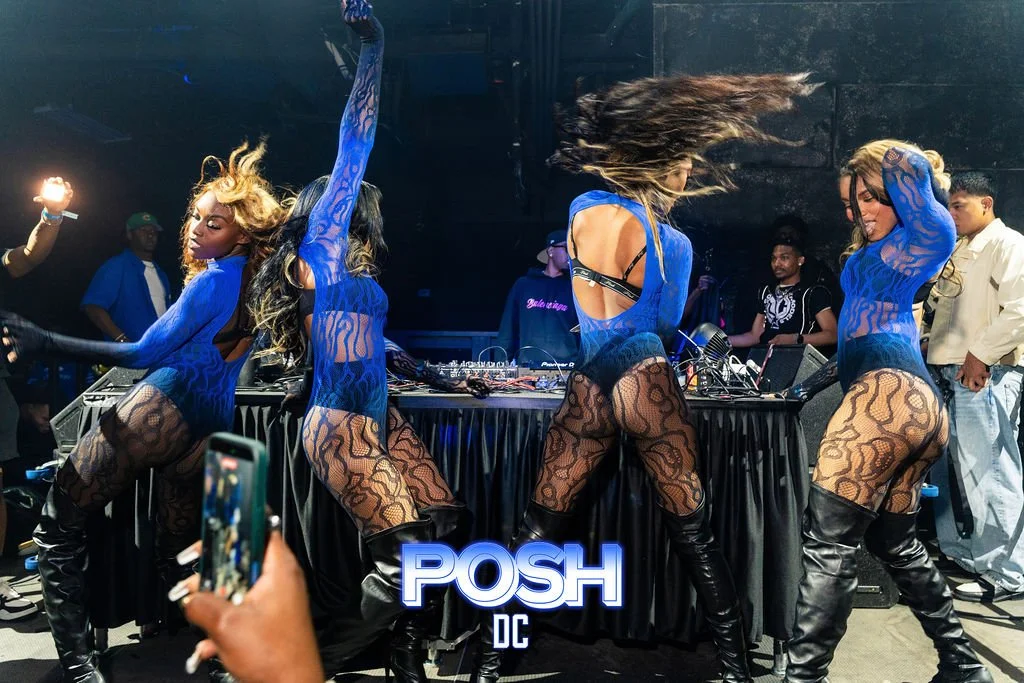 139-poshDC_with_logo-139.jpg