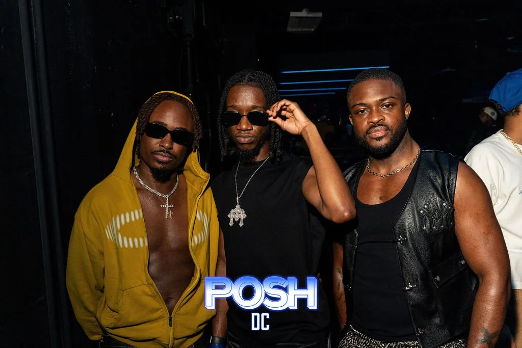 103-poshDC_with_logo-103.jpg