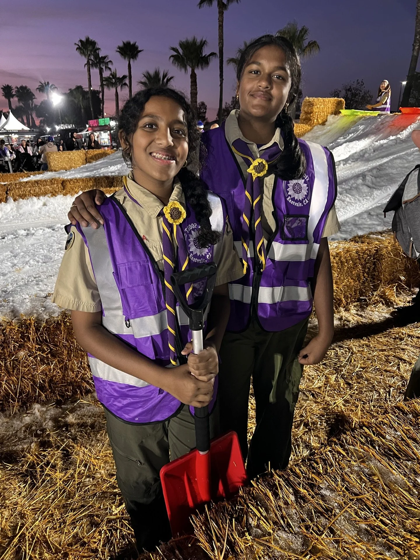 sunflower slides.jpeg