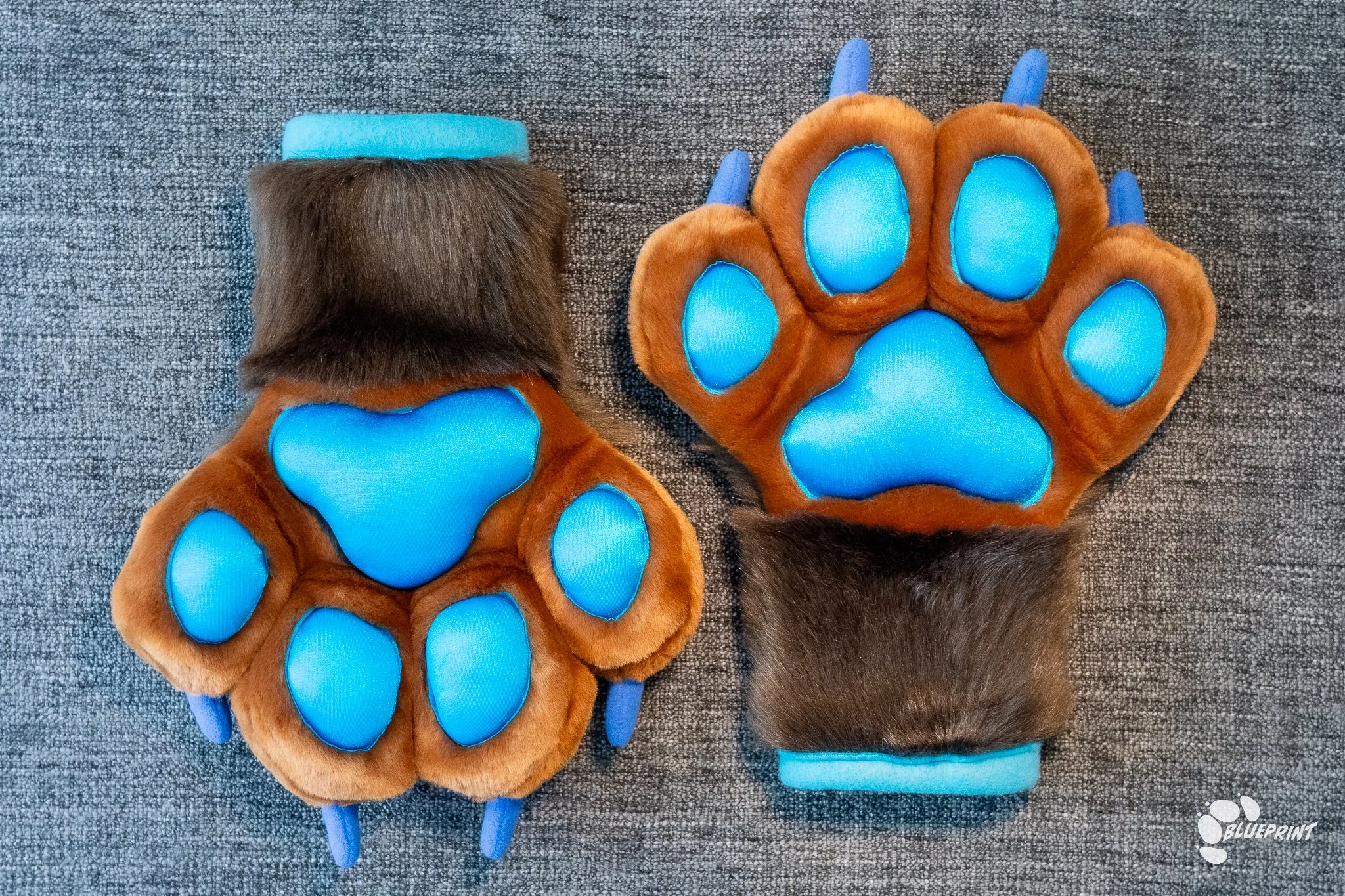 Chocolate Blue-3.jpg