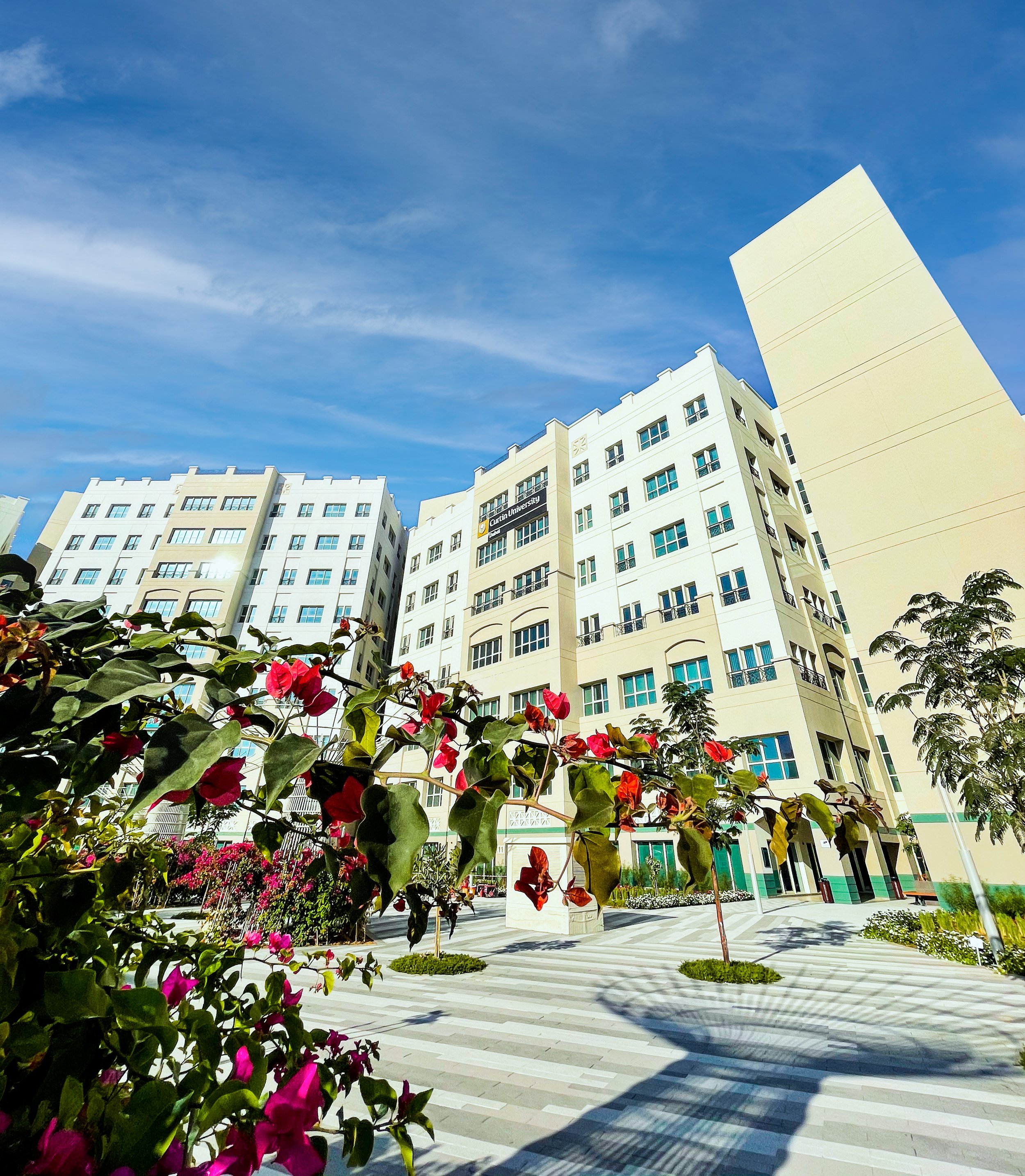  Lords University and Curtin University Collaborate to Offer a Dynamic Digital Marketing Course in Dubai