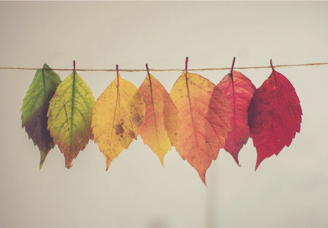 Transformed: Living Your Identity in Christ