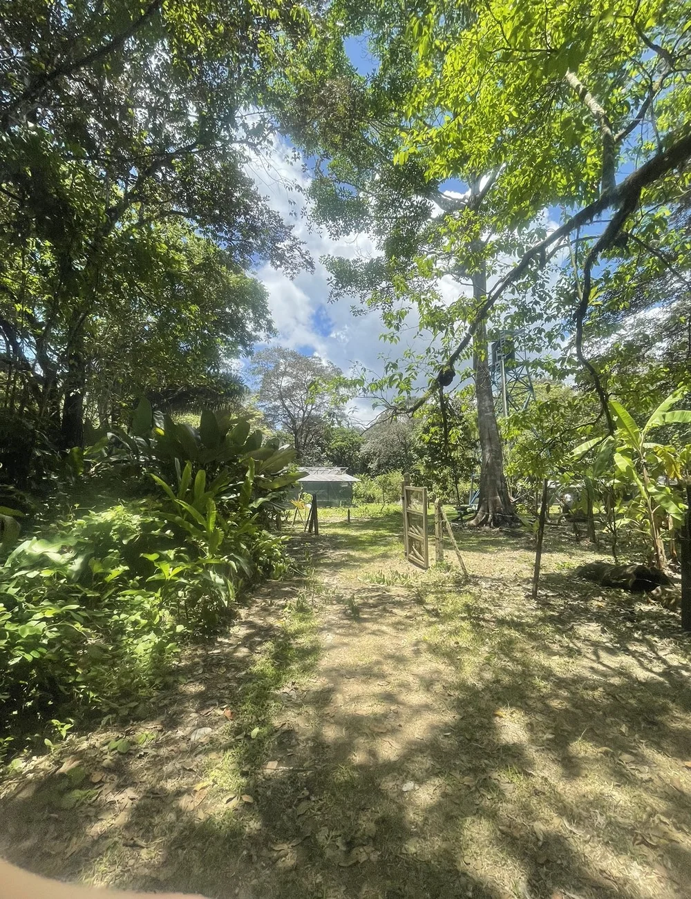Image 6.jpeg