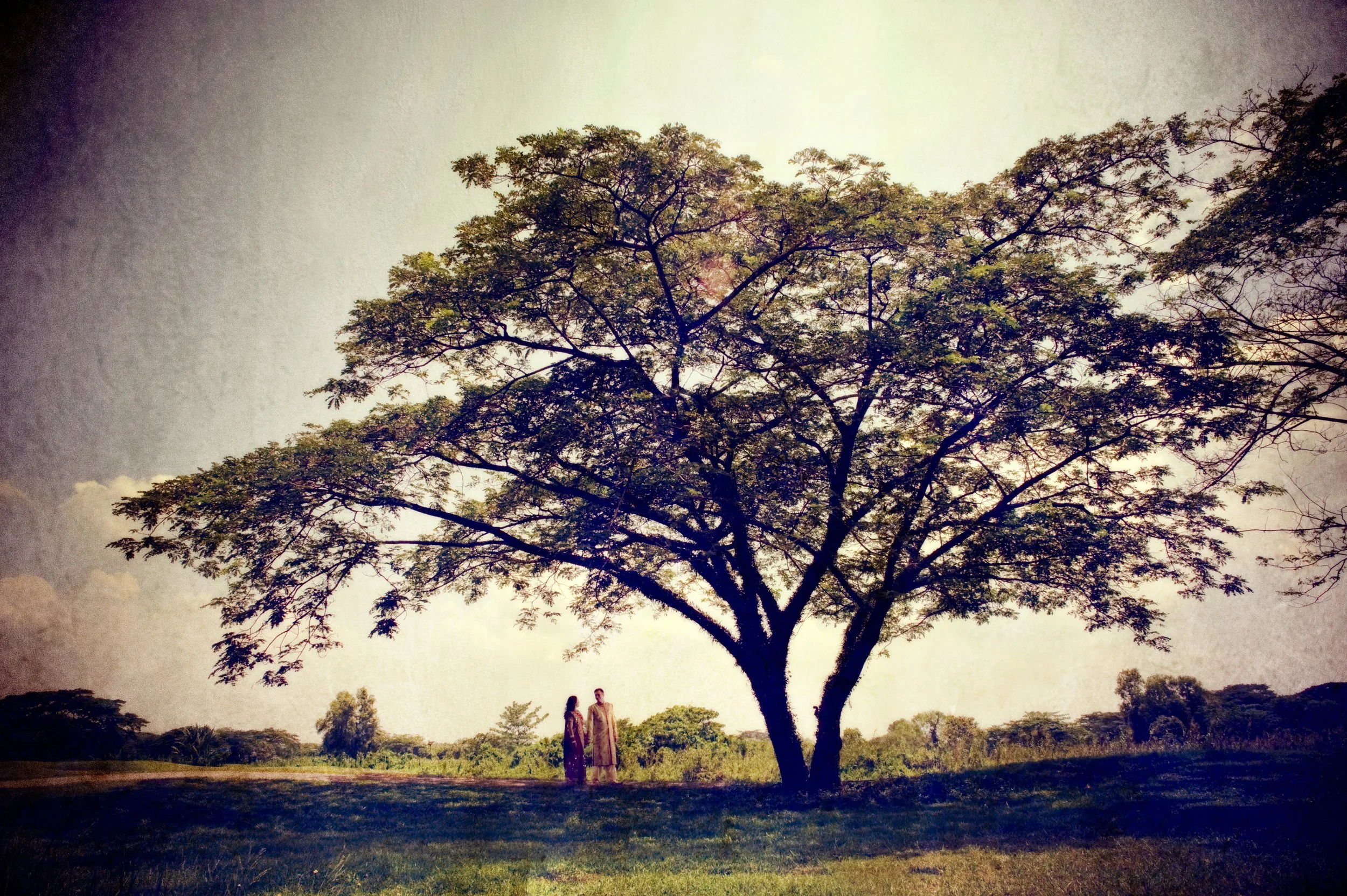 Two people standing under a large tree in an open grassy field, with a clear sky and distant trees on the horizon.