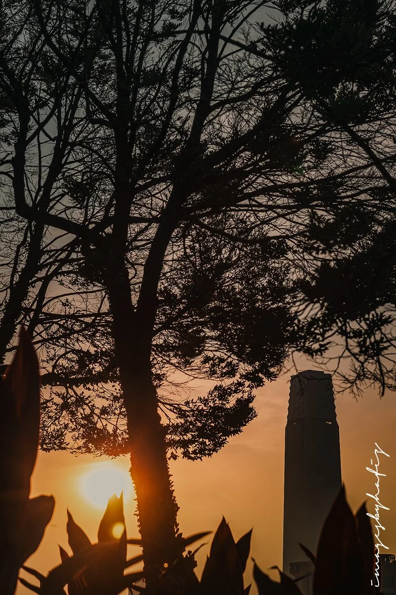 Sunrise at The Exchange TRX