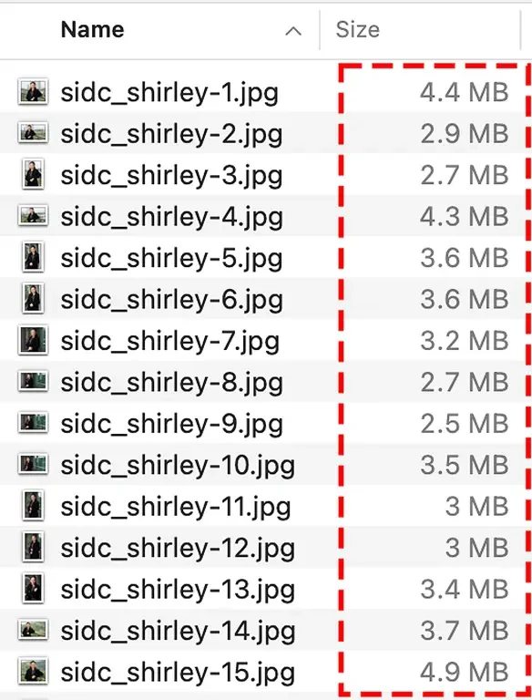 The difference of file sizes of RAW files vs JPEG files
