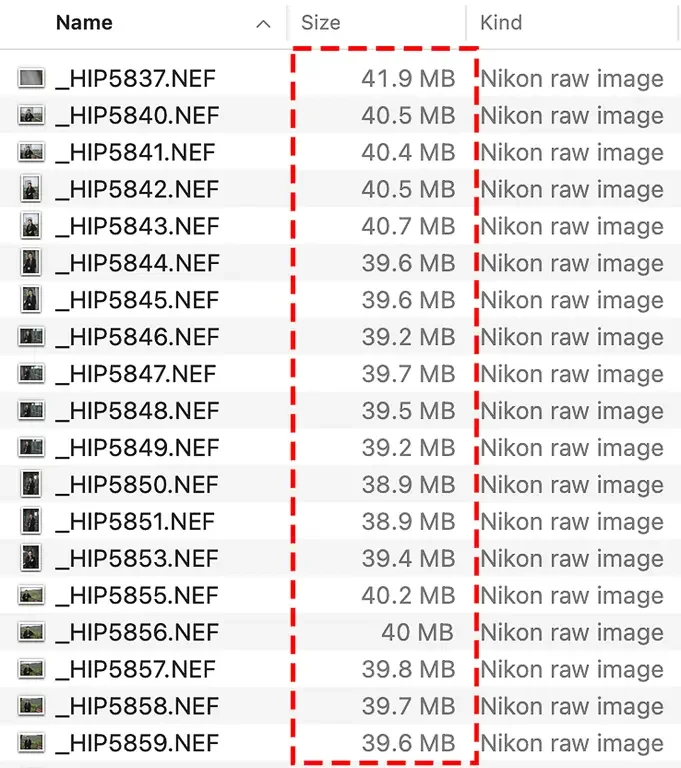 The difference of file sizes of RAW files vs JPEG files