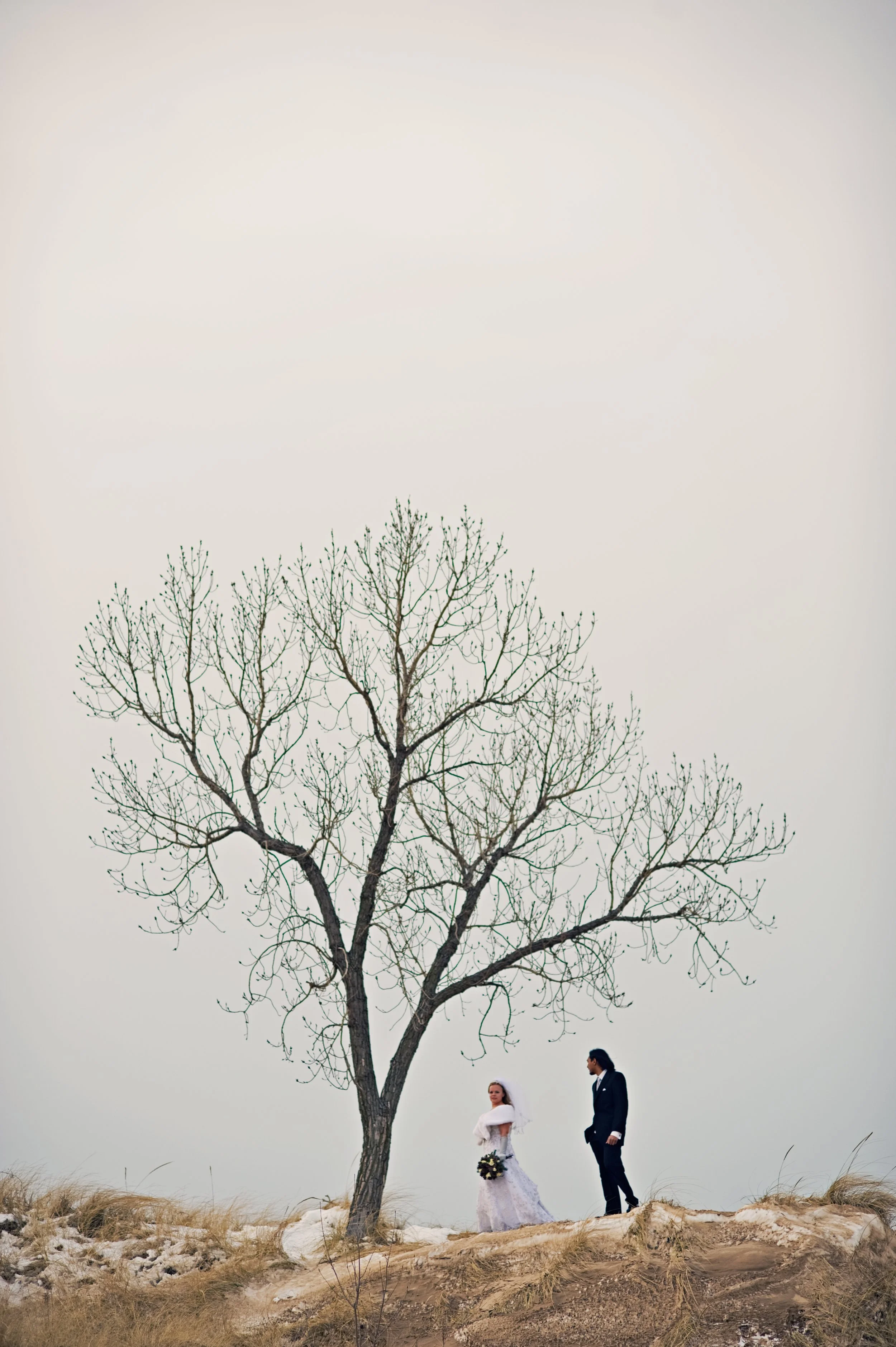 A bride and groom standing near a leafless tree on a sandy terrain with dry grass, overcast sky backdrop.