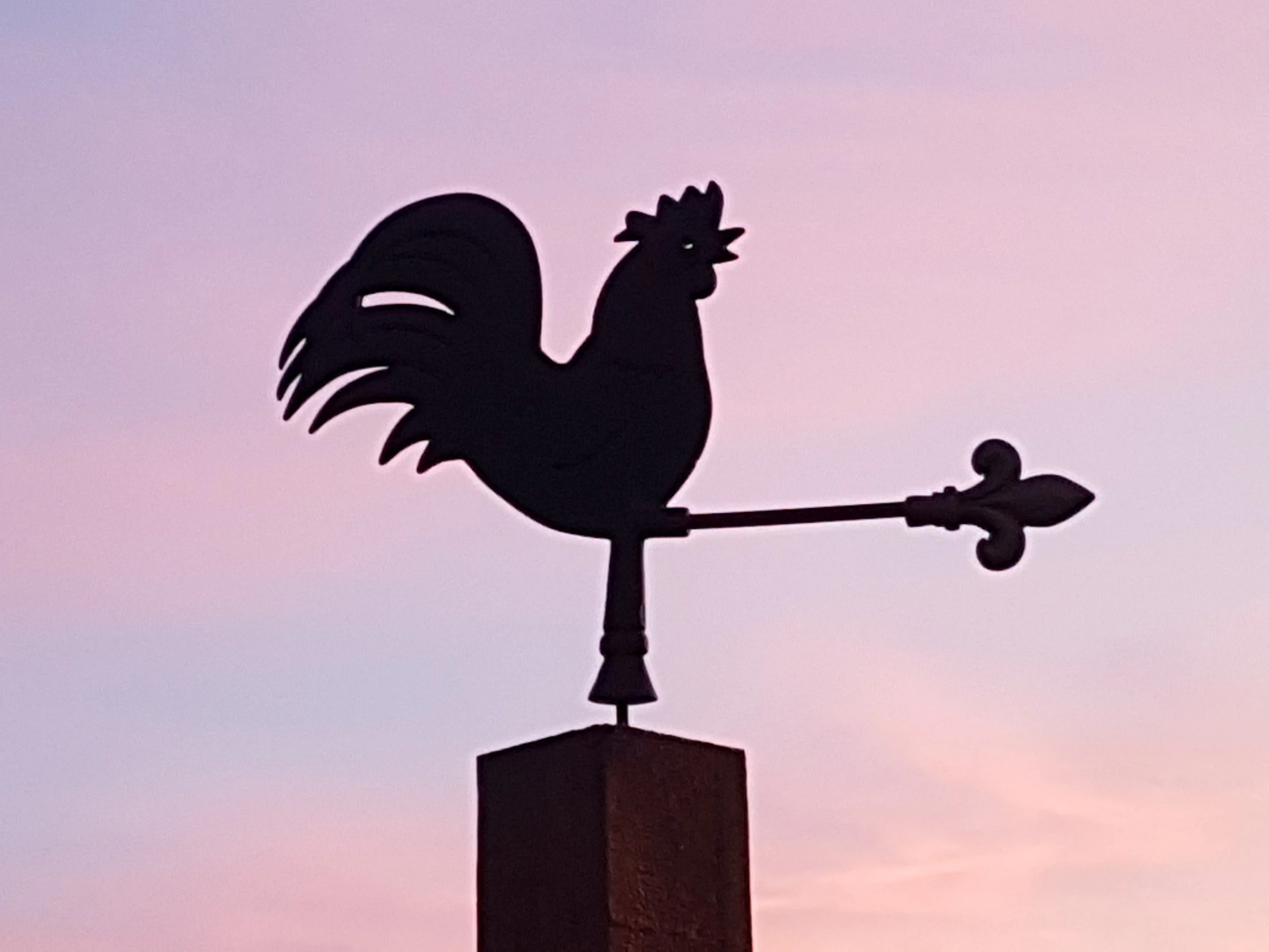Weather vane