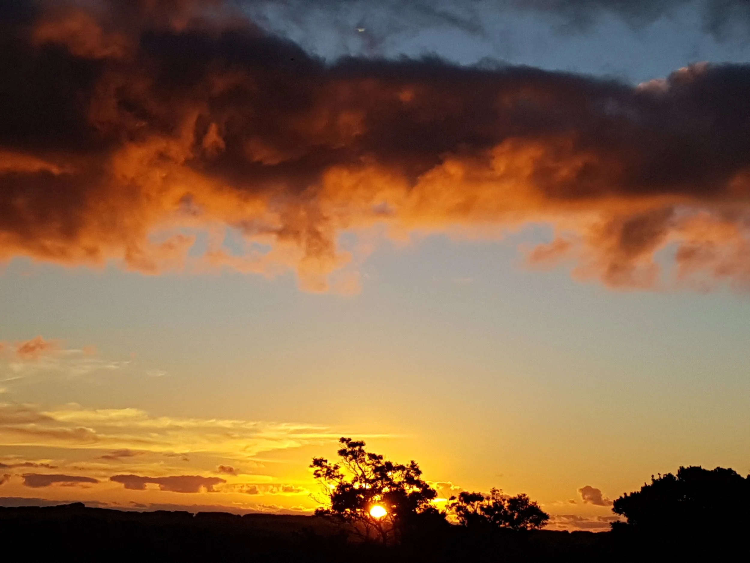 Out of the comfort zone