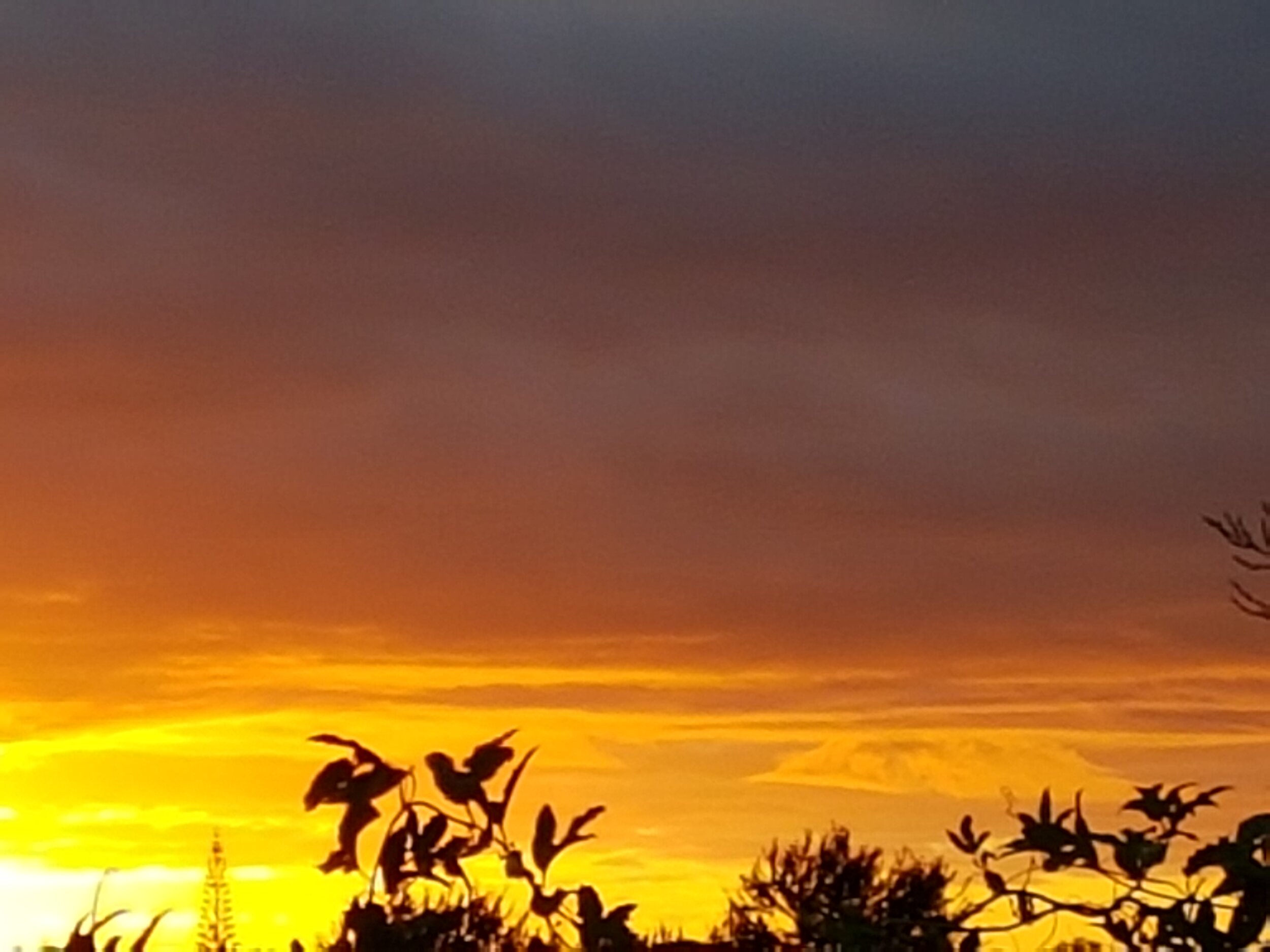 Children coming to stay