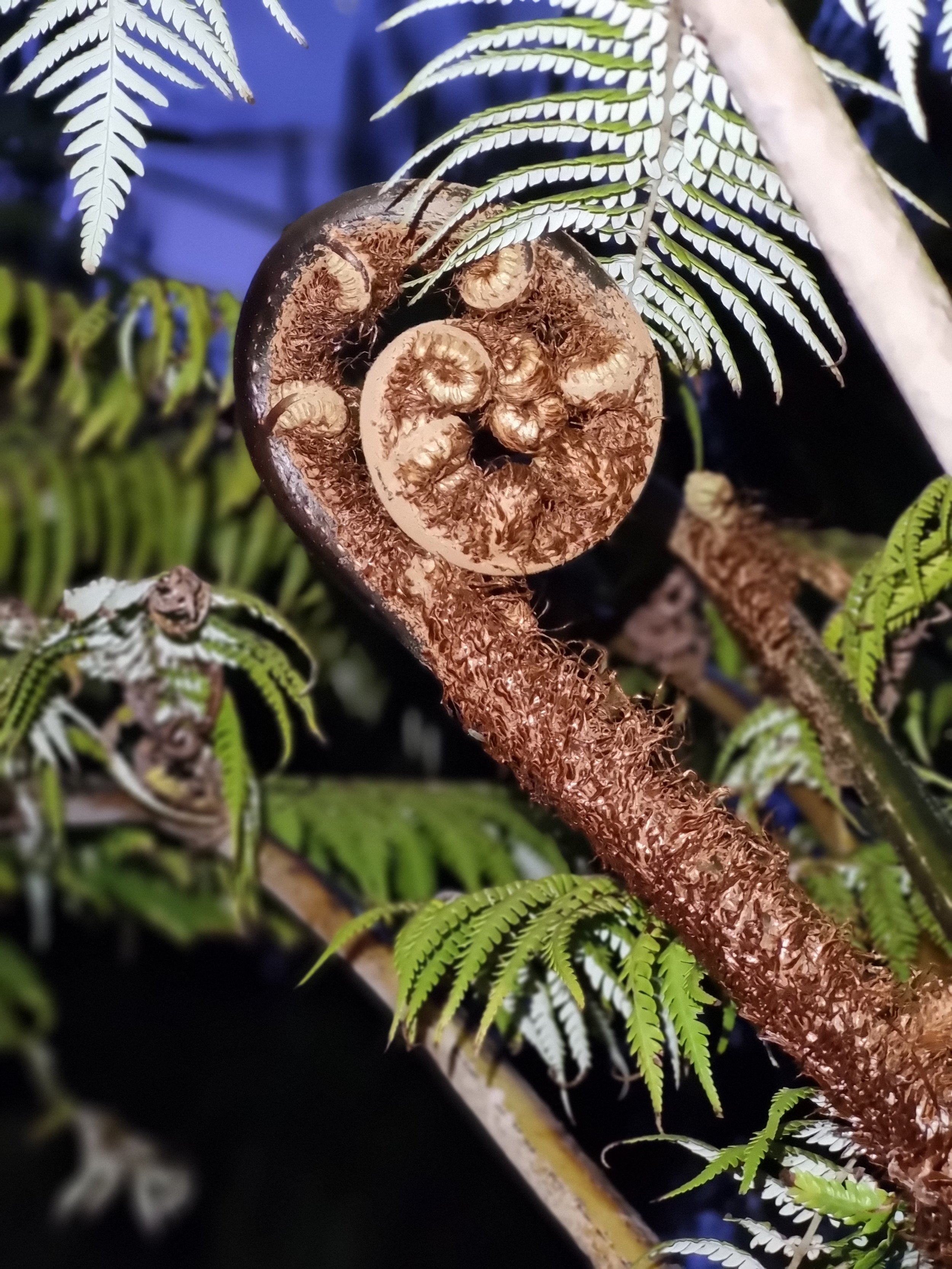 Other people’s shoes