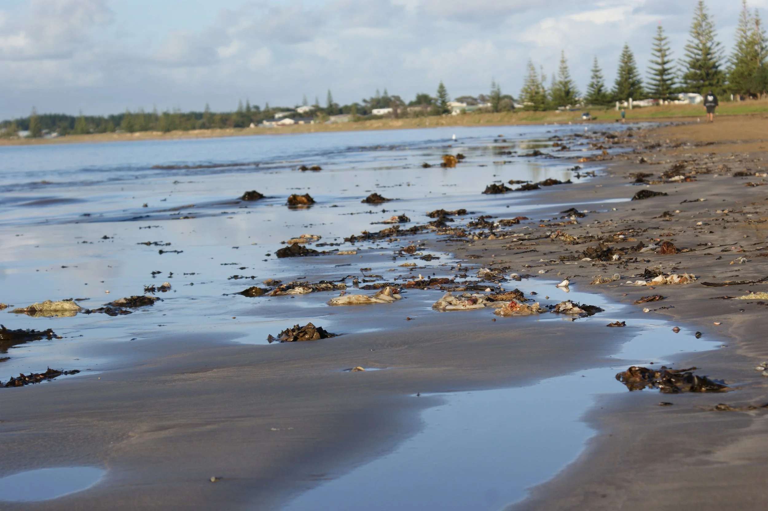 More chores and meerkats