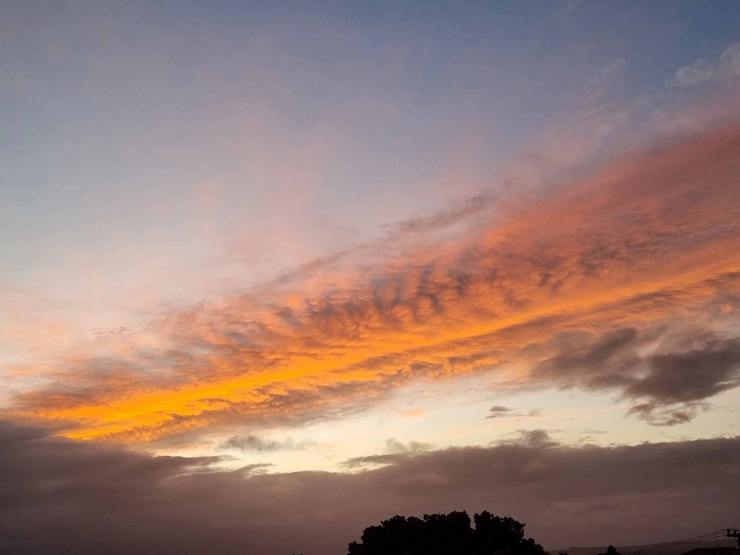 Ticking off the list￼