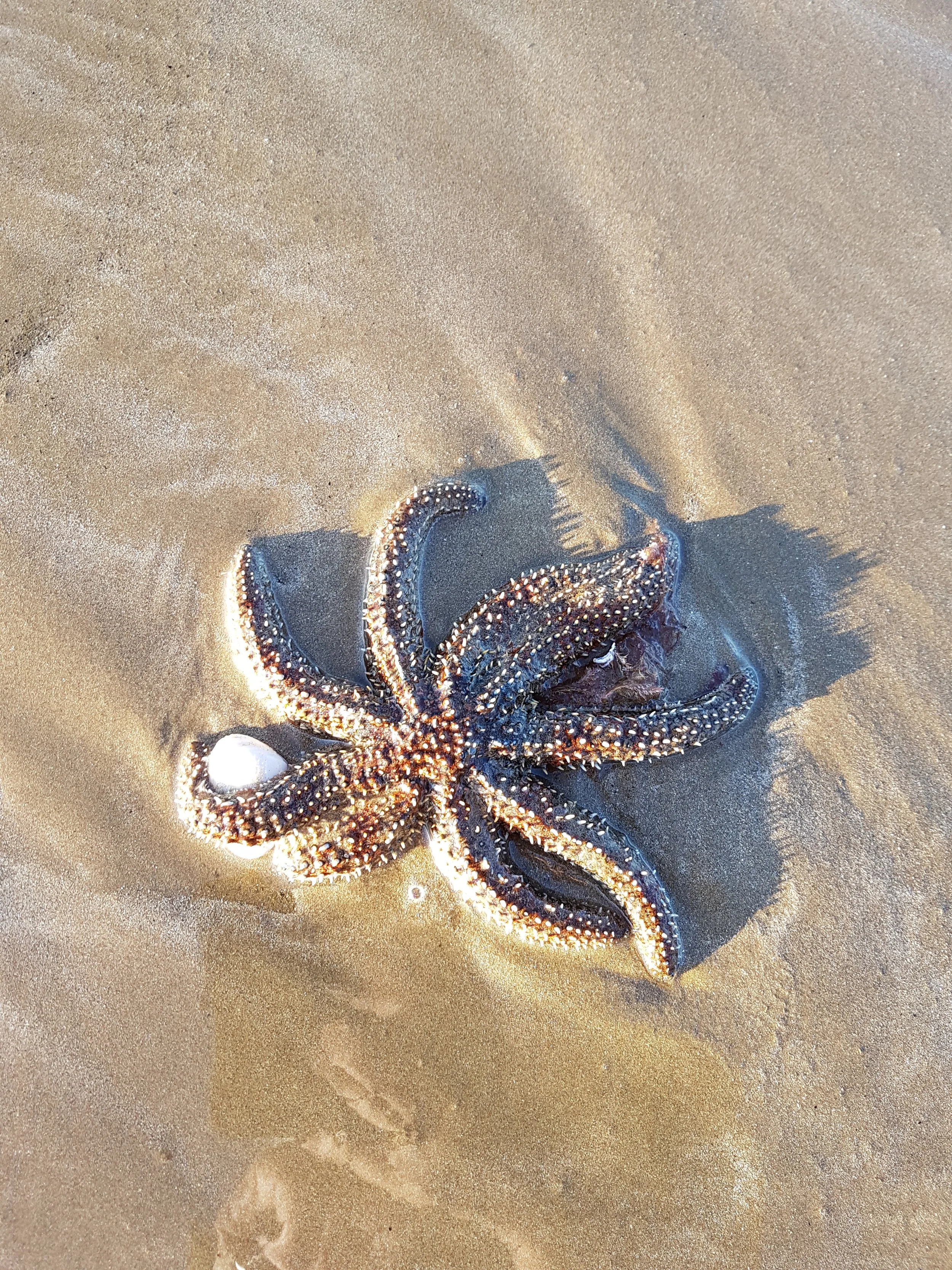 Guided visualisation