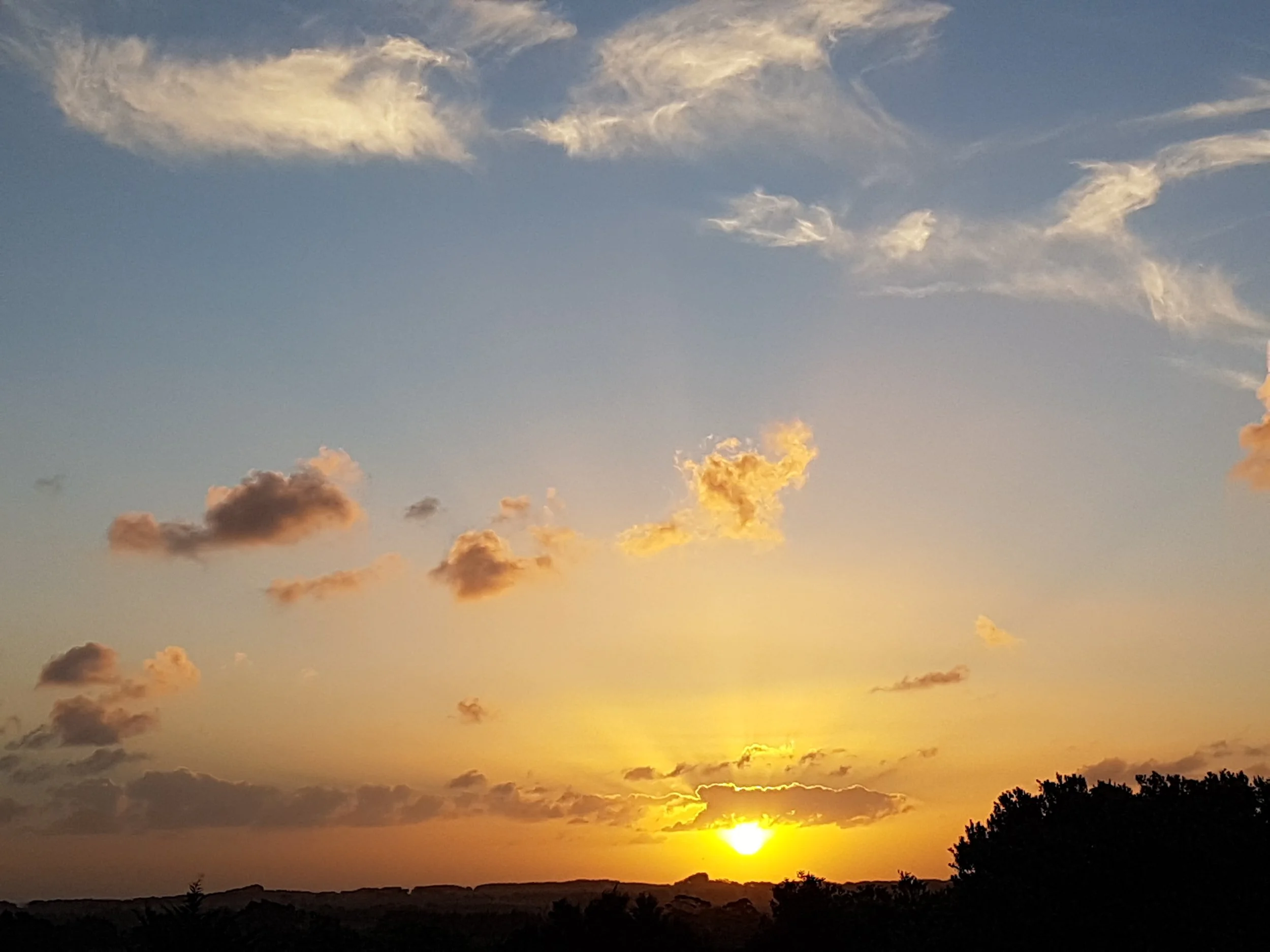 White Island/Whakaari
