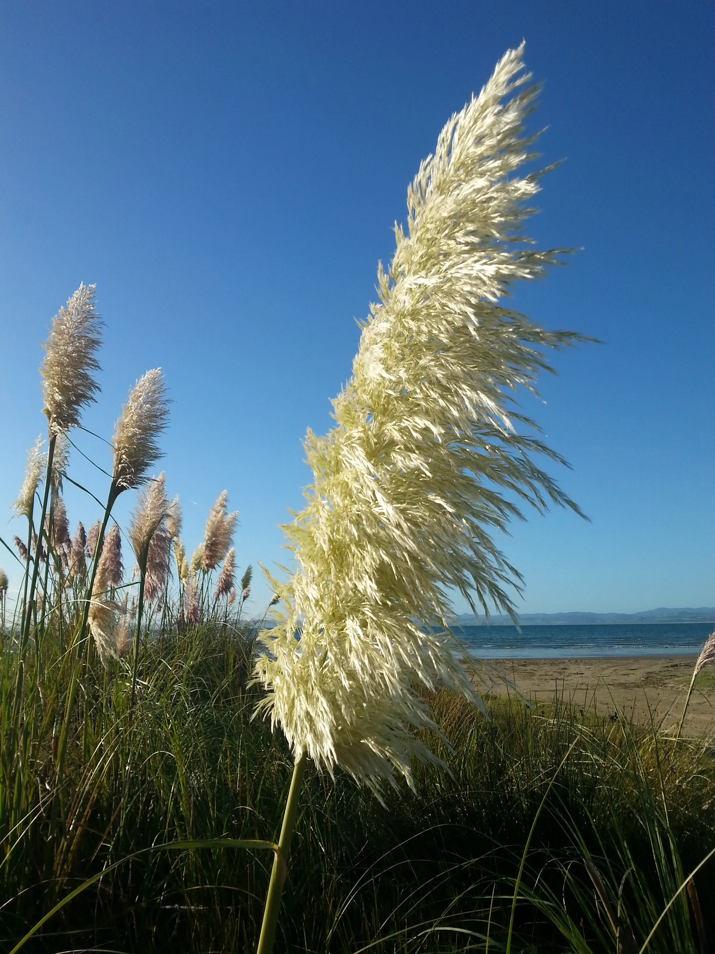 Before it is too late