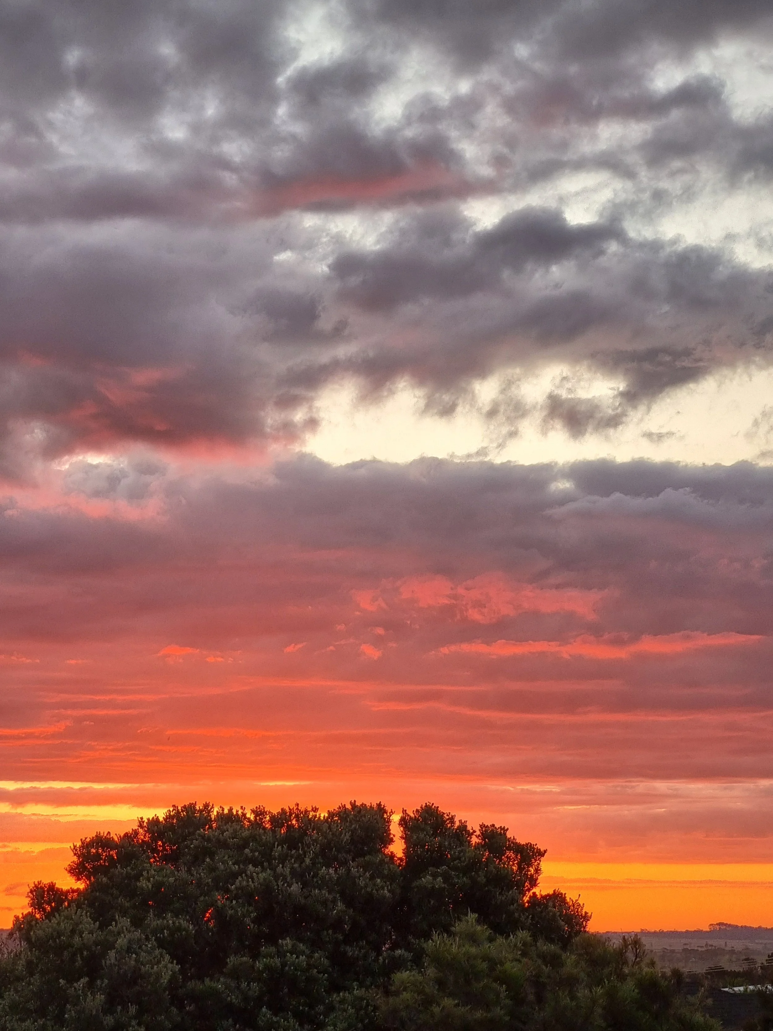 Newspaper subscription